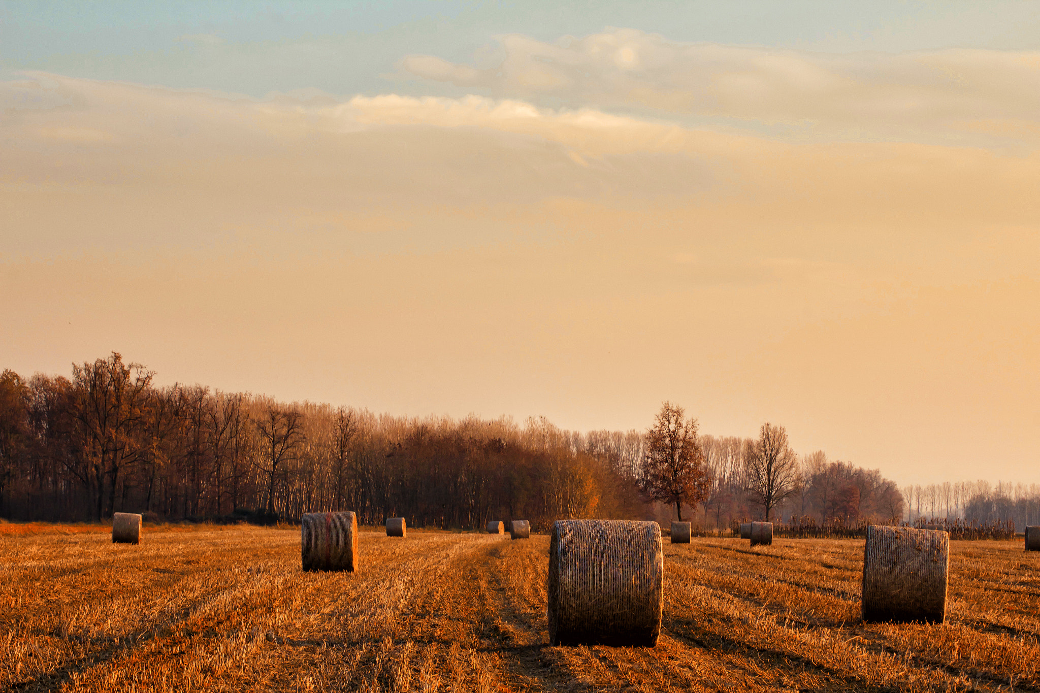 Tamron SP 35mm F1.8 Di VC USD sample photo. Late november landscape photography