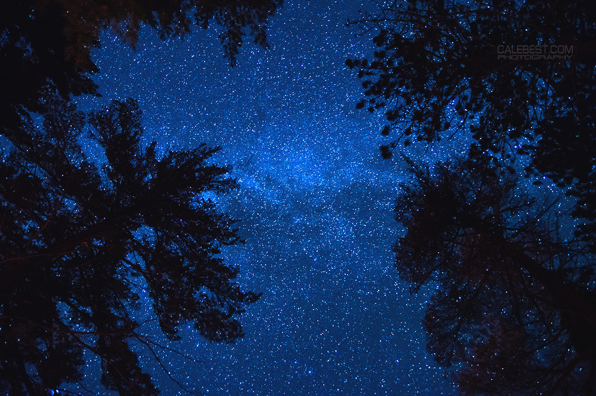 Sony Alpha DSLR-A580 sample photo. Algonquin skies photography