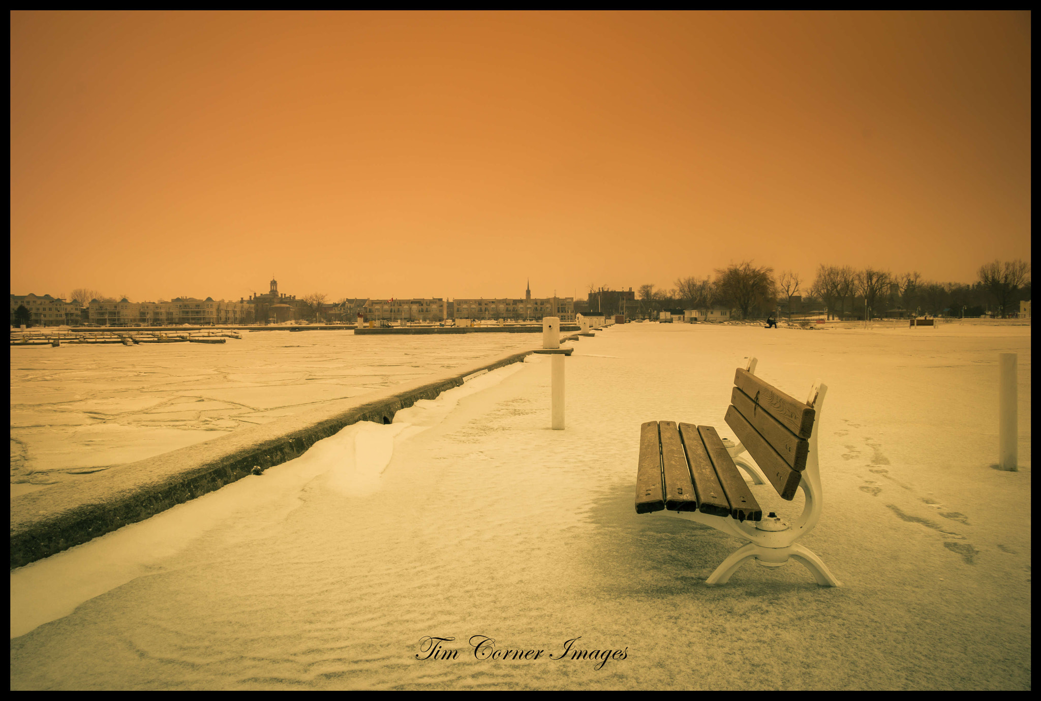 Canon EF-S 17-85mm F4-5.6 IS USM sample photo. This years christmas card photo photography