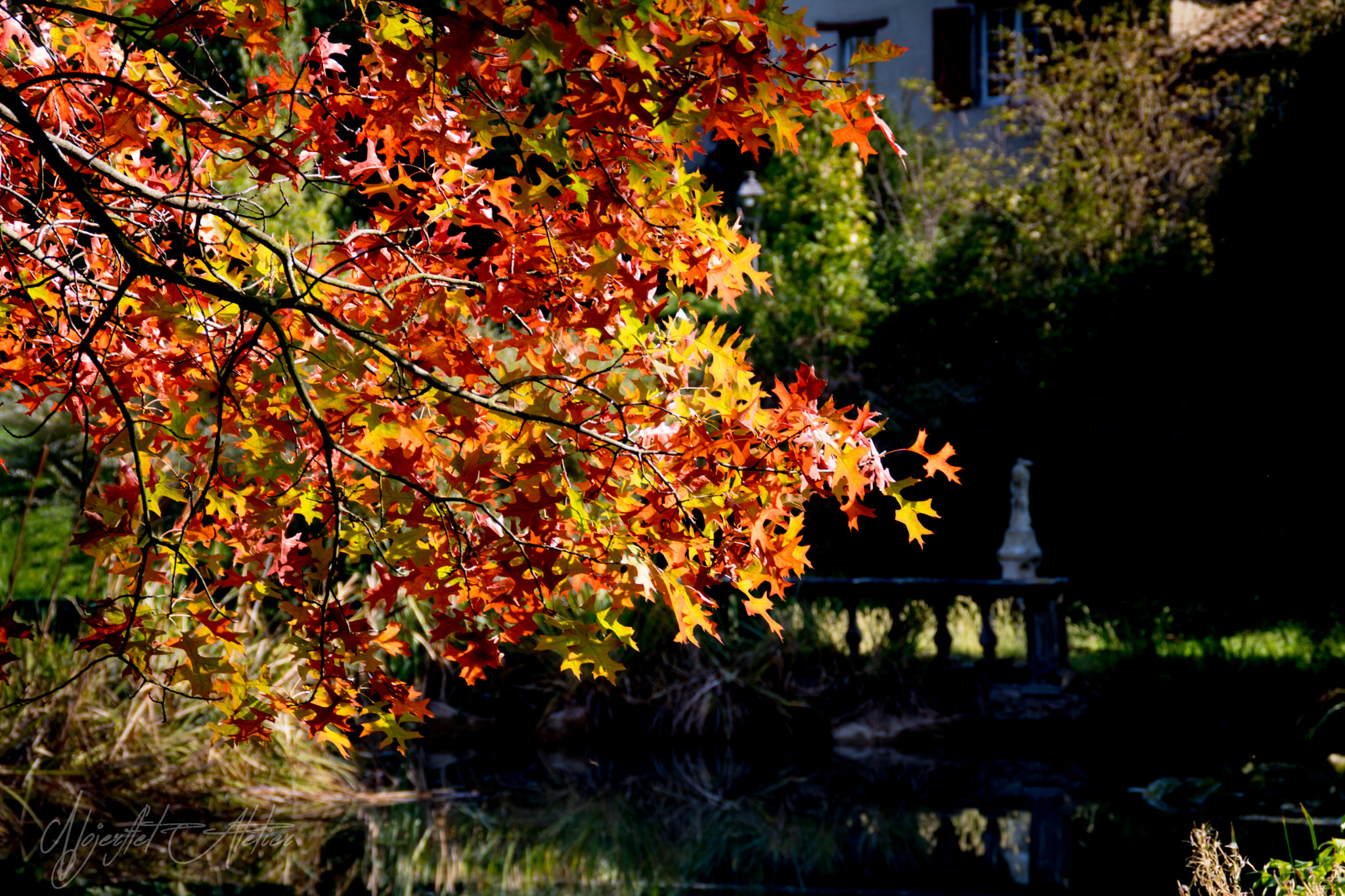 Canon EOS 760D (EOS Rebel T6s / EOS 8000D) sample photo. Automne photography