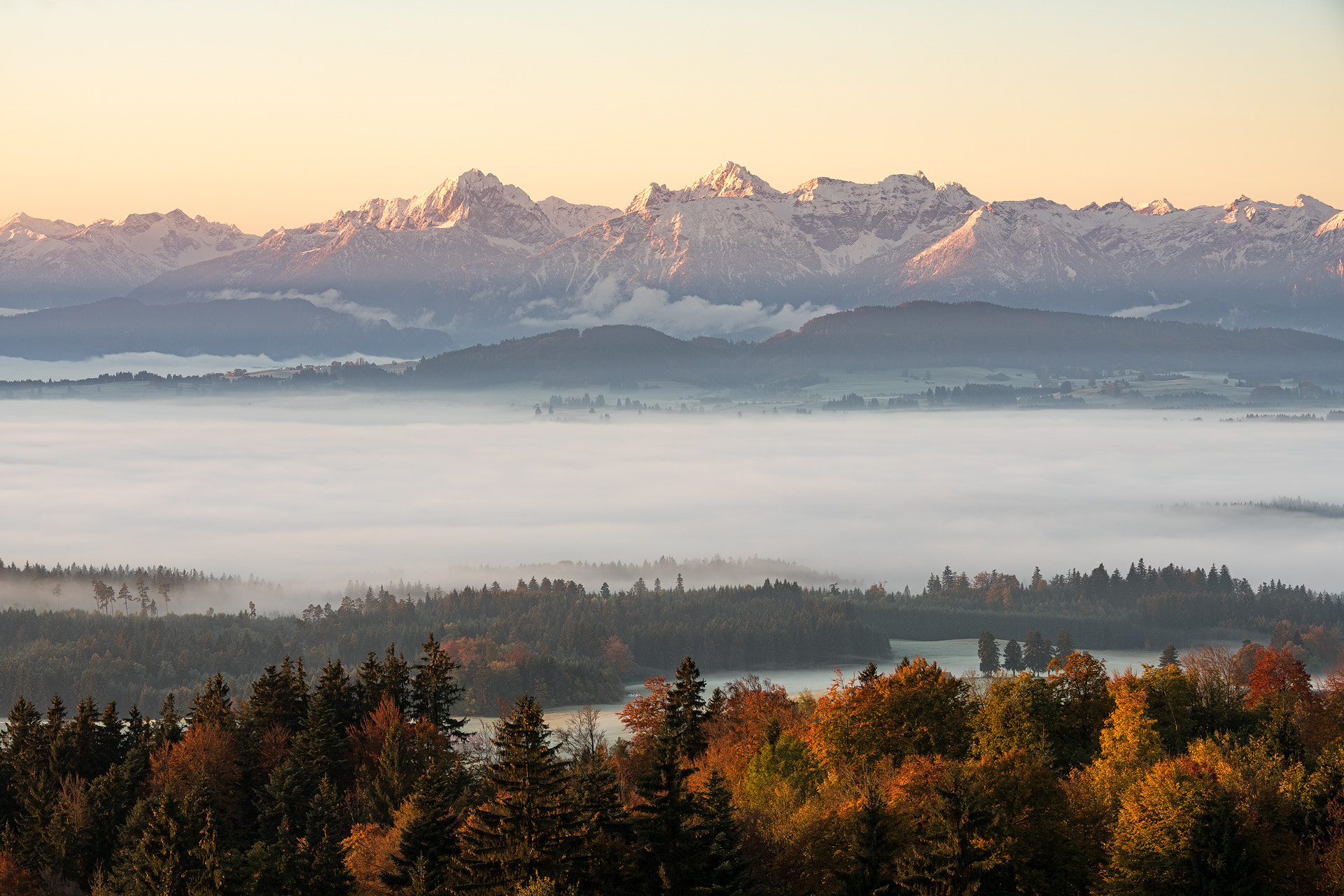 Sony a7R II + Canon EF 70-200mm F4L IS USM sample photo. Allgäu morning photography