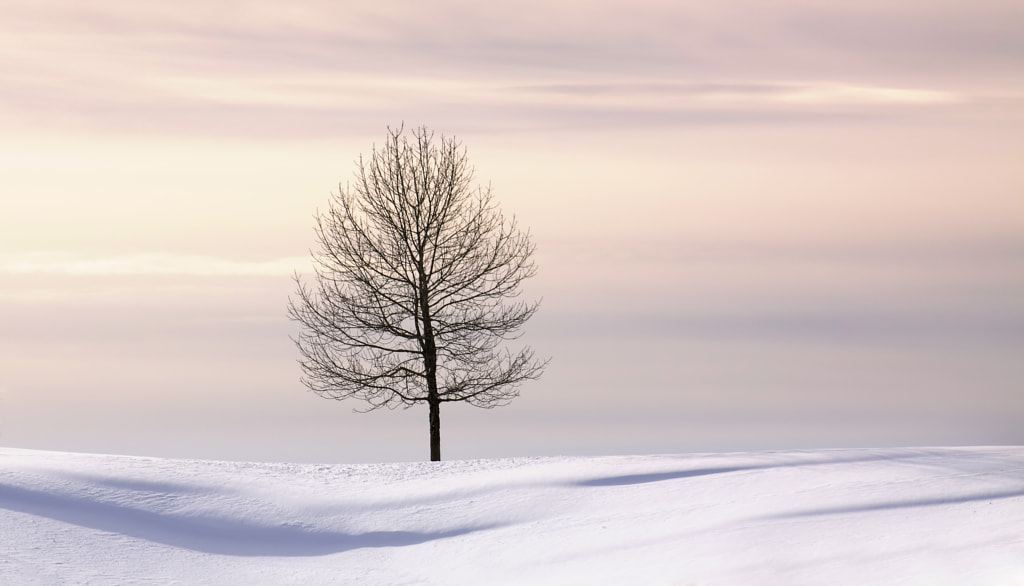 Silence de Ana Tramont en 500px.com