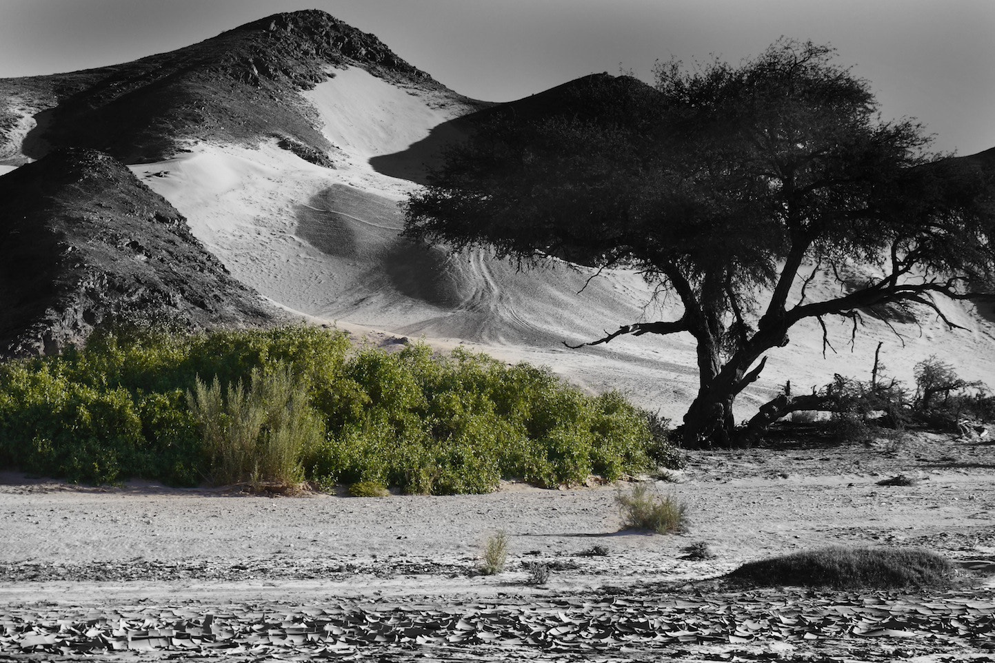 Panasonic Lumix G X Vario 35-100mm F2.8 OIS sample photo. Namibia 6 photography