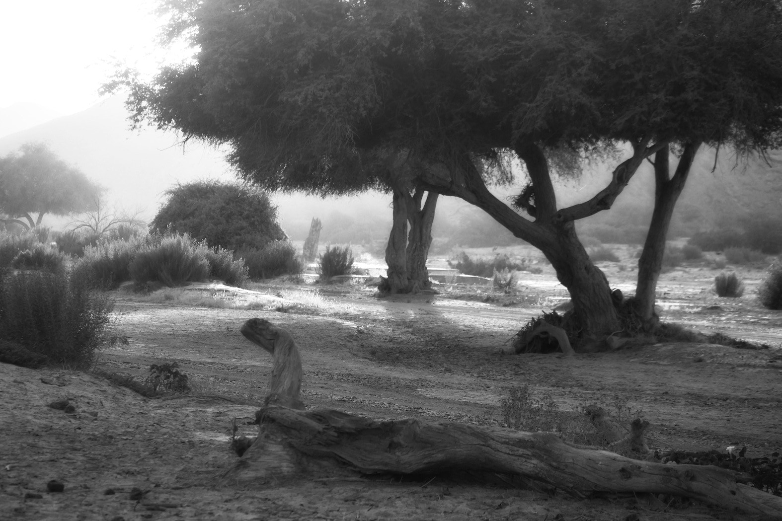 Panasonic Lumix G X Vario 35-100mm F2.8 OIS sample photo. Namibia 2 photography