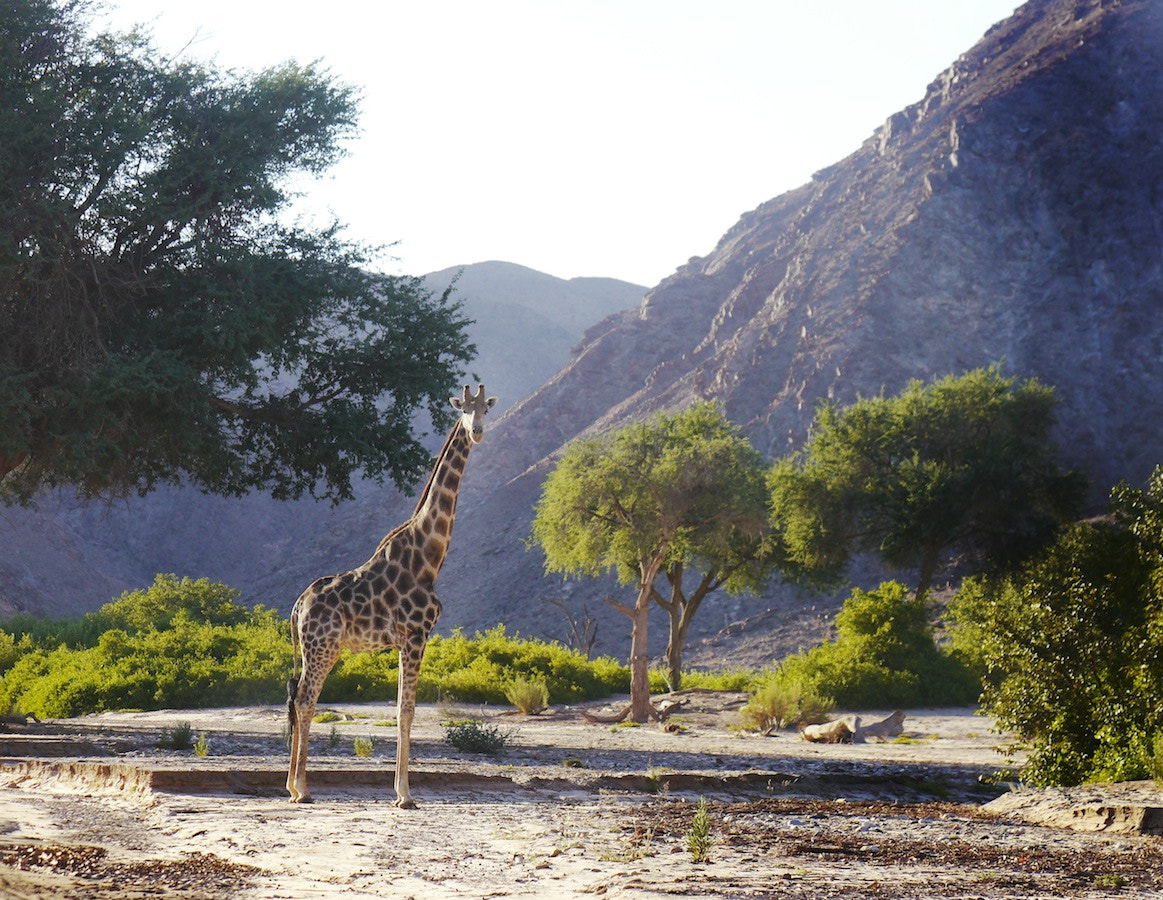 Panasonic Lumix G X Vario 35-100mm F2.8 OIS sample photo. Namibia 4 photography