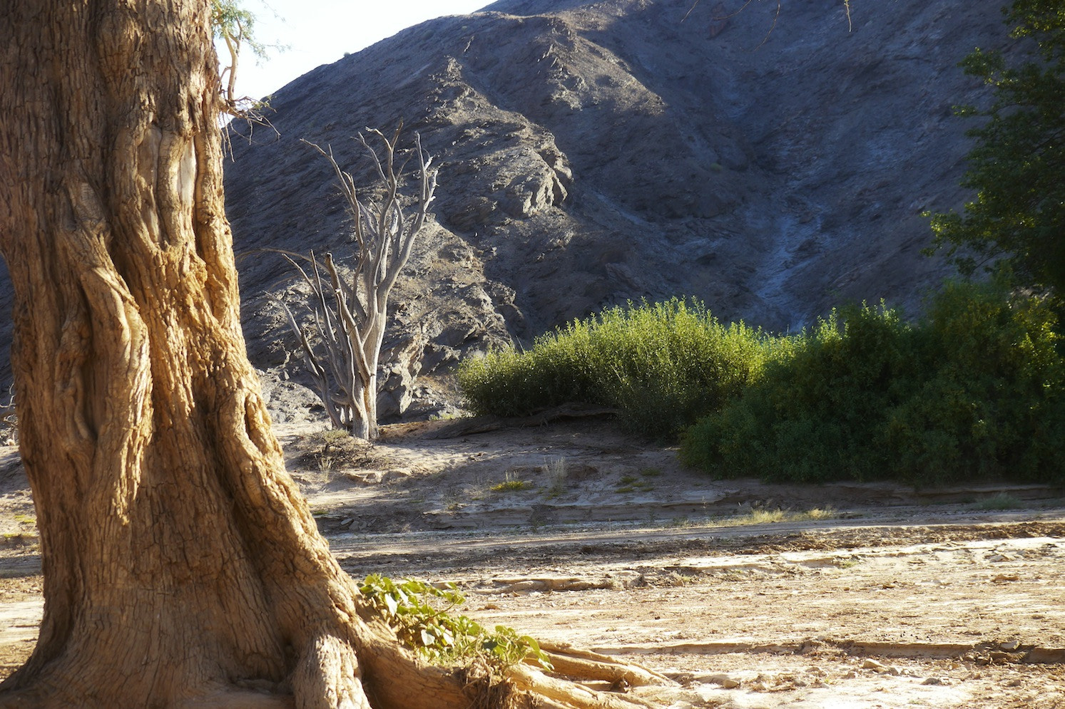 Panasonic Lumix G X Vario 35-100mm F2.8 OIS sample photo. Namibia 7 photography
