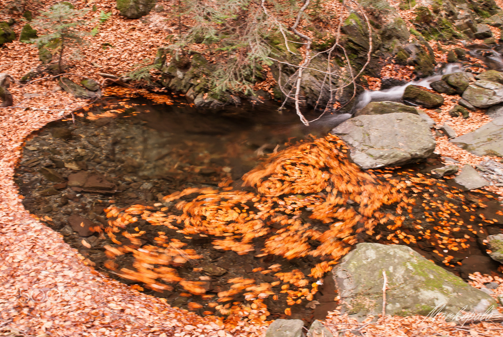Nikon D60 sample photo. Vortex photography