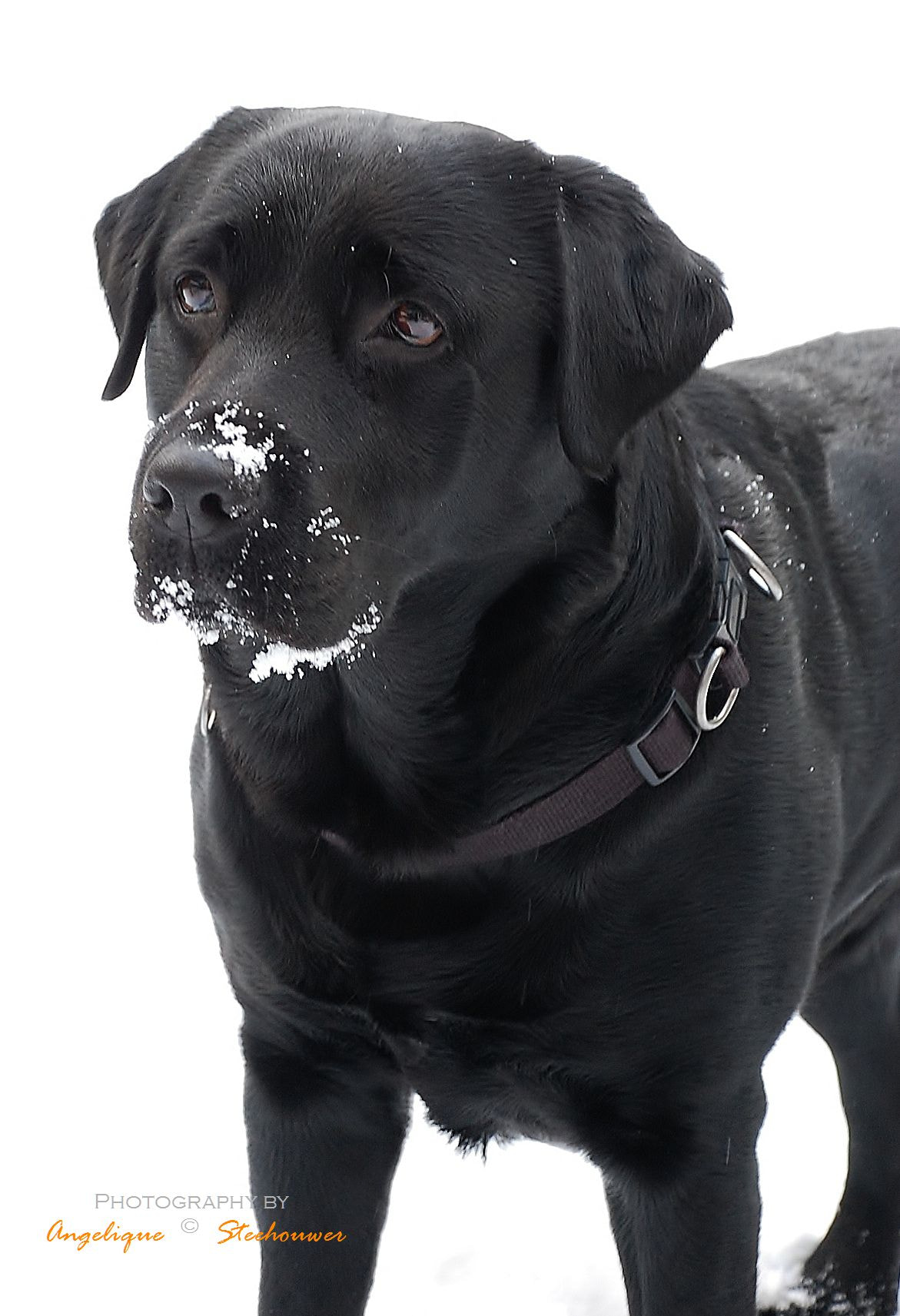 Nikon D40 sample photo. Gallery photography
