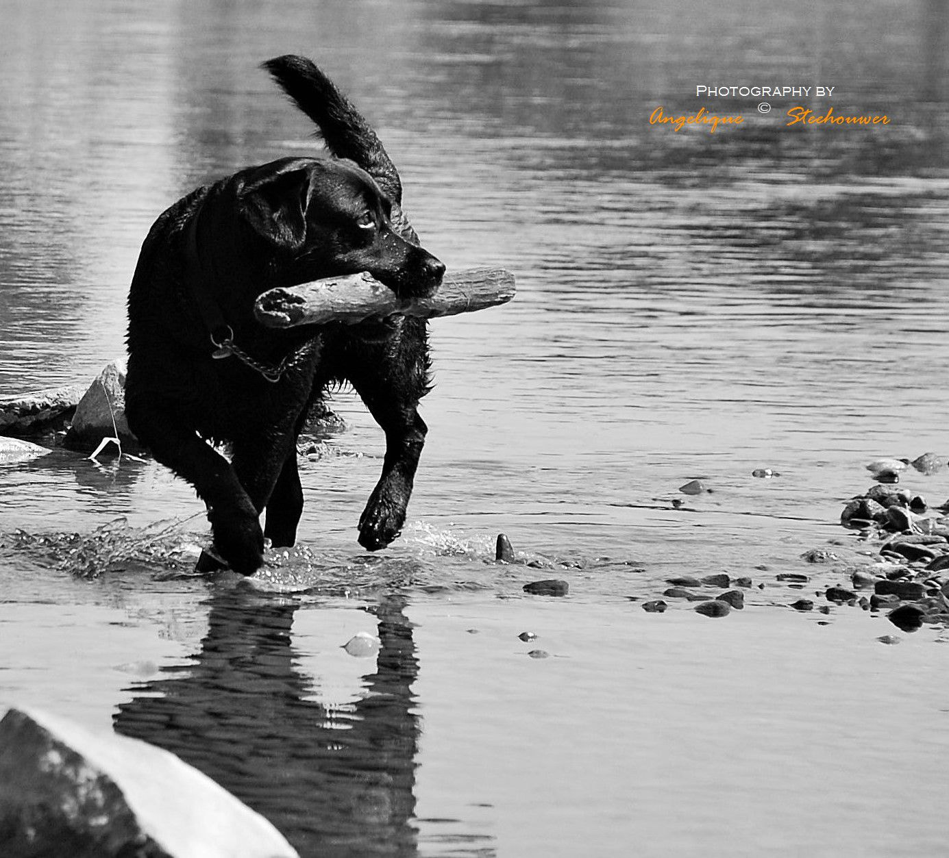Nikon D40 sample photo. Gallery photography