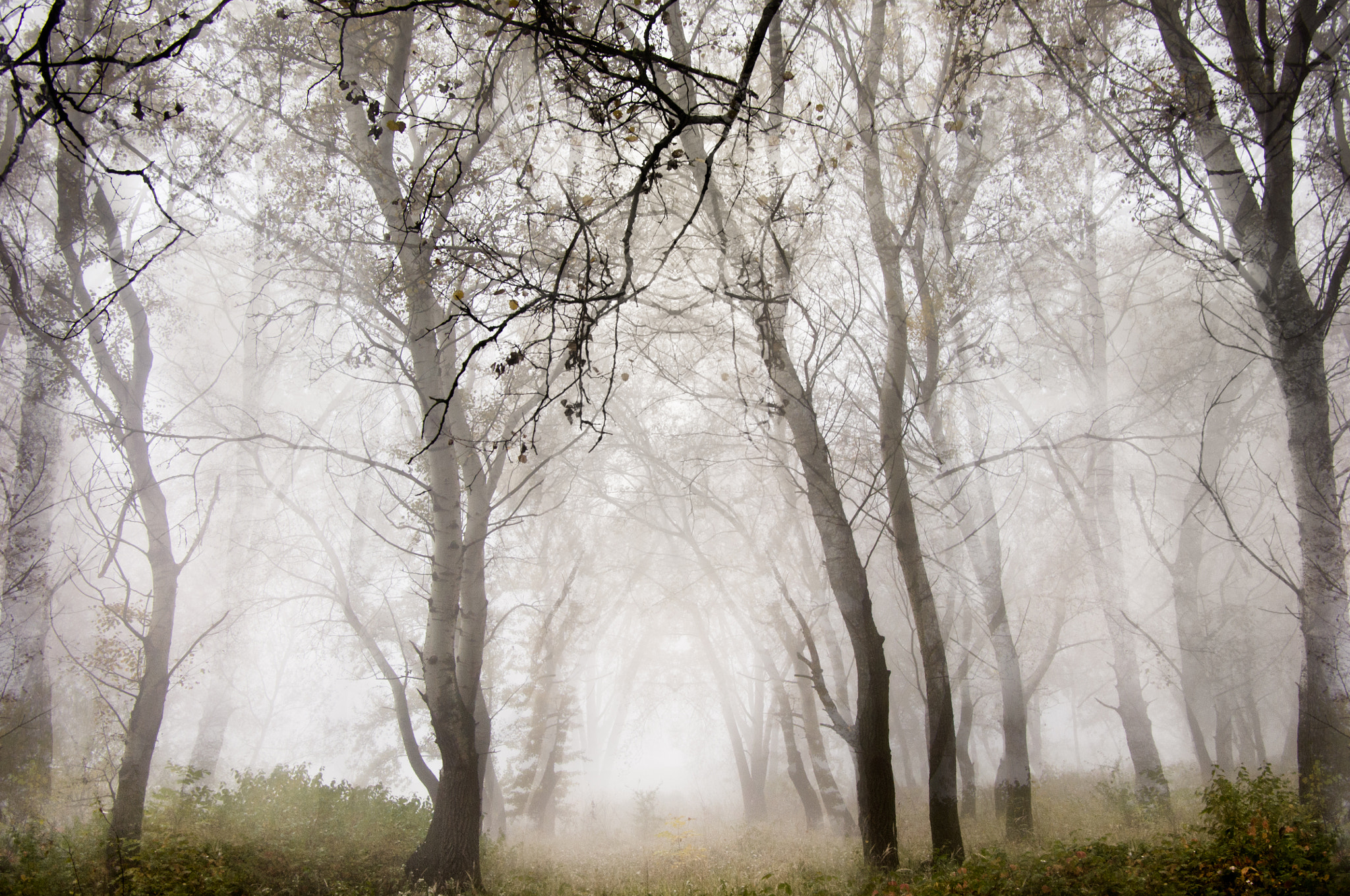 Pentax K-x sample photo. Shades photography