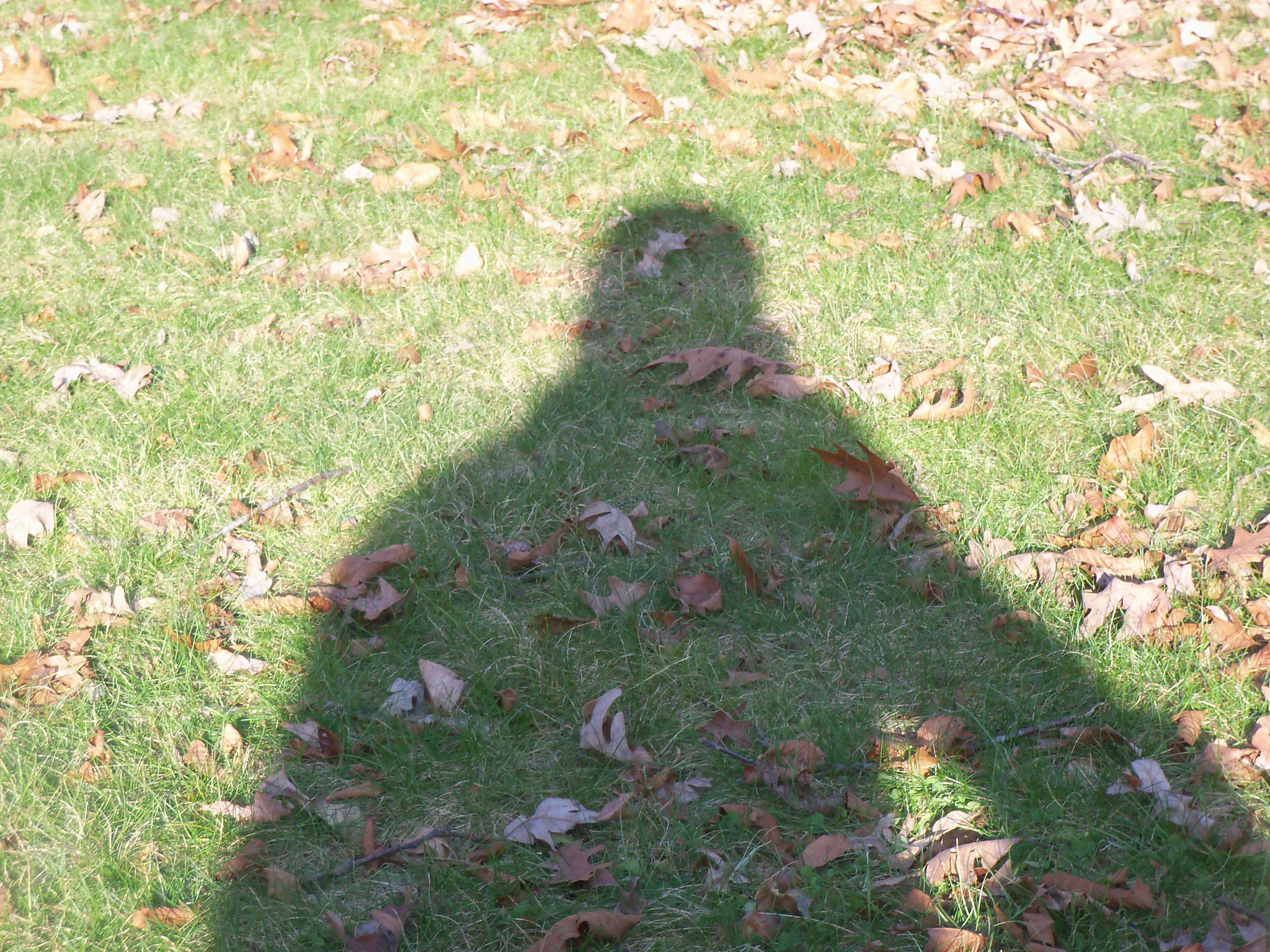 Kodak EASYSHARE M381 DIGITAL CAMERA sample photo. Shadow photography