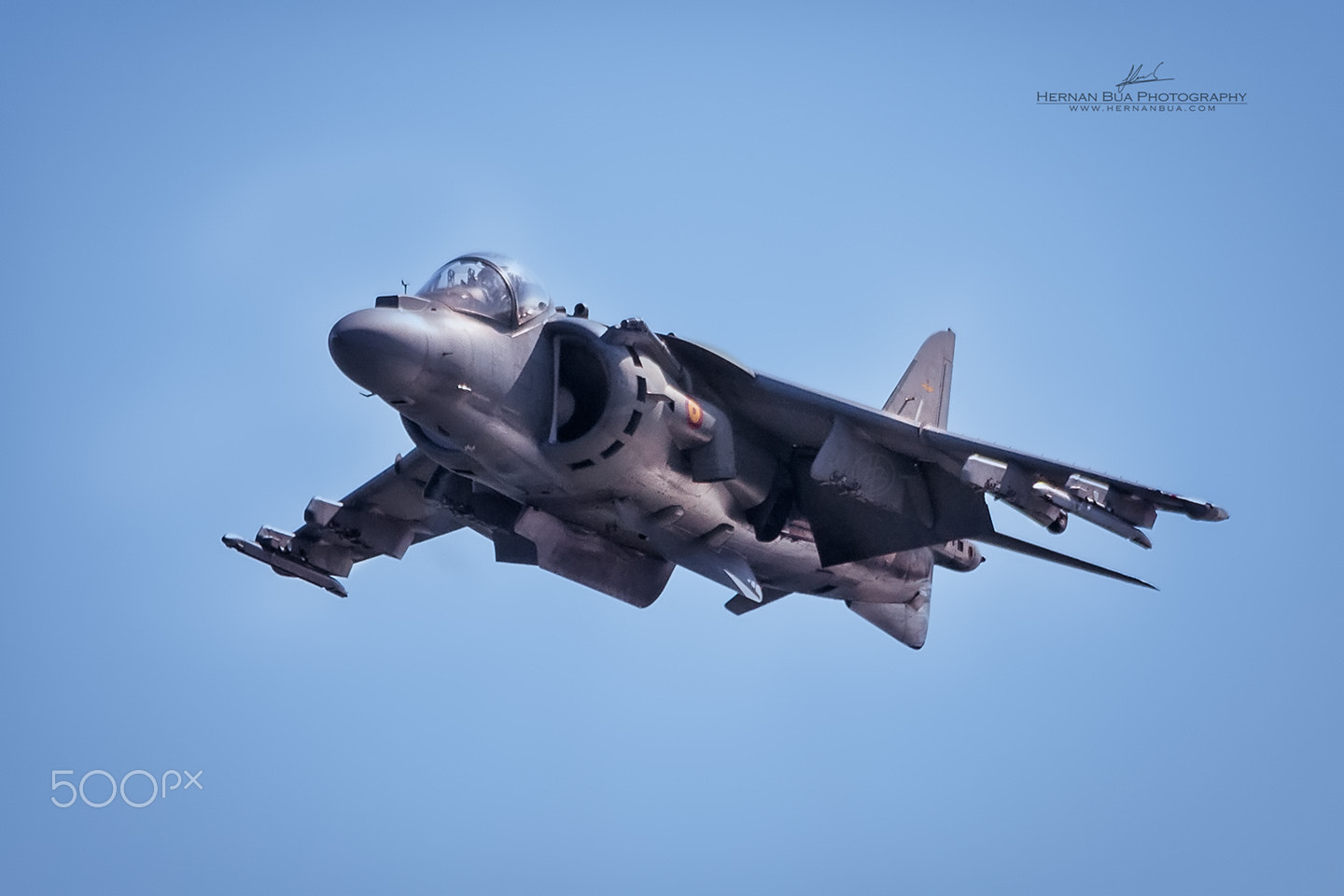 Sigma 150-500mm F5-6.3 DG OS HSM sample photo. Afloat photography