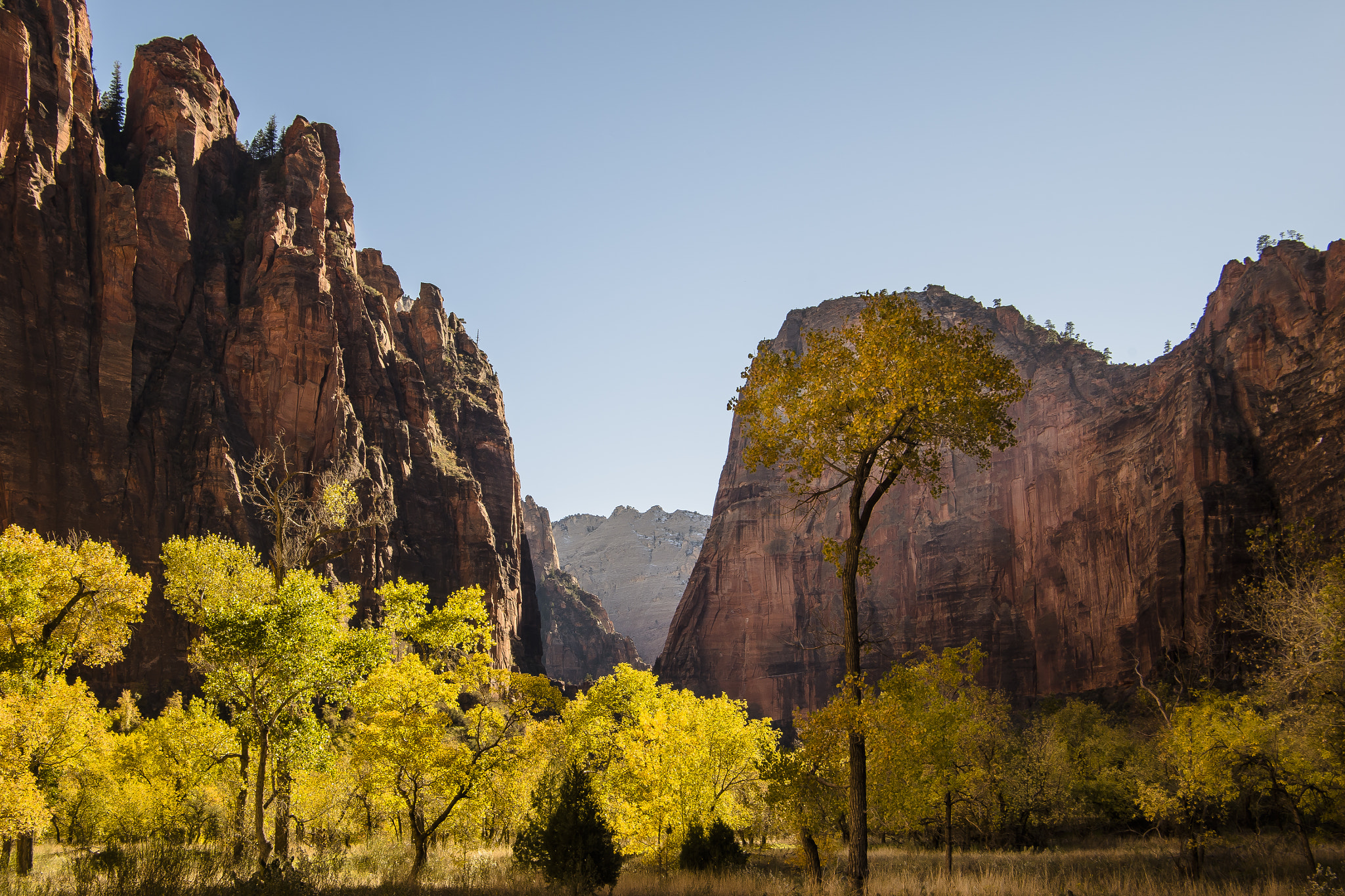 Pentax smc DA 16-45mm F4 ED AL sample photo. Zion canyon photography