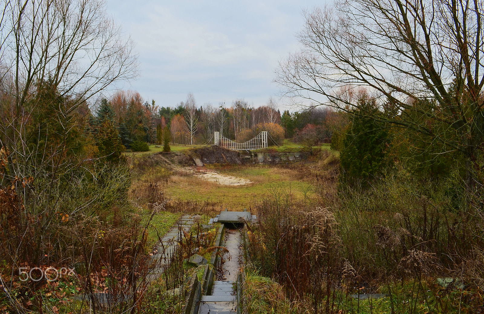 Nikon D5100 + IX-Nikkor 30-60mm f/4-5.6 sample photo. Autumn dendropark photography