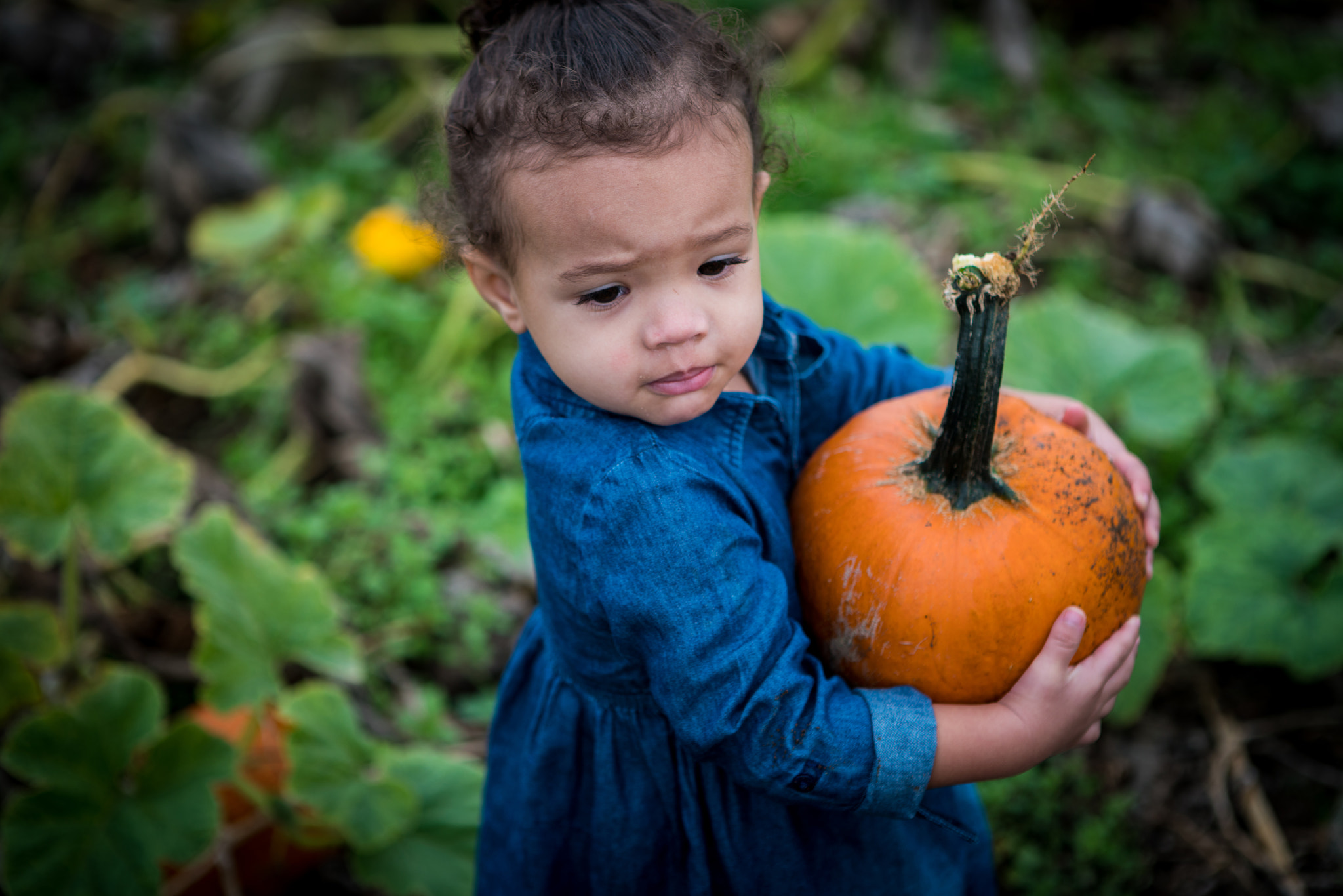 Sony a7R II + Canon EF 24-70mm F2.8L USM sample photo. My little friend photography