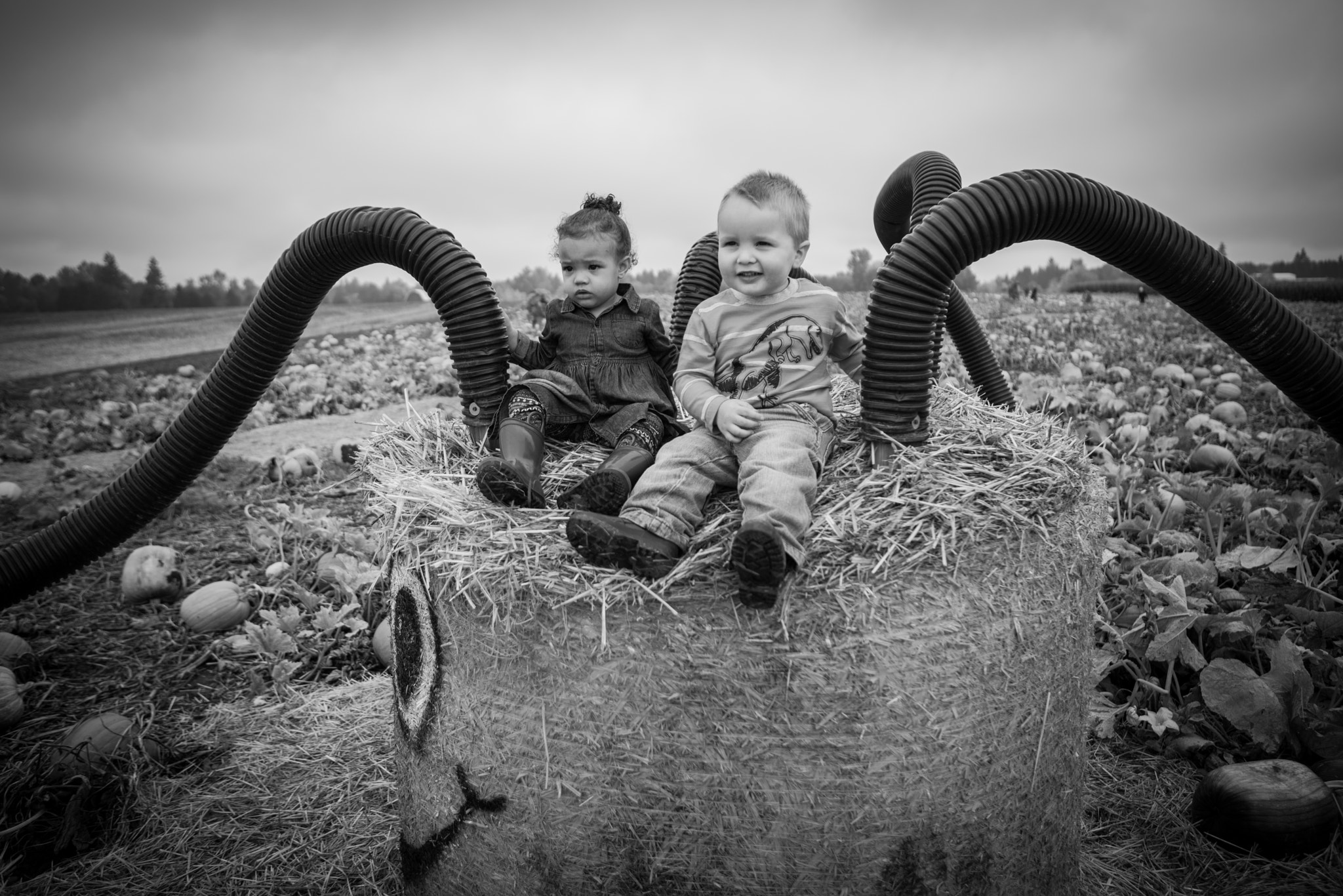 Sony a7R II + Canon EF 24-70mm F2.8L USM sample photo. Pumpkin patch fun photography