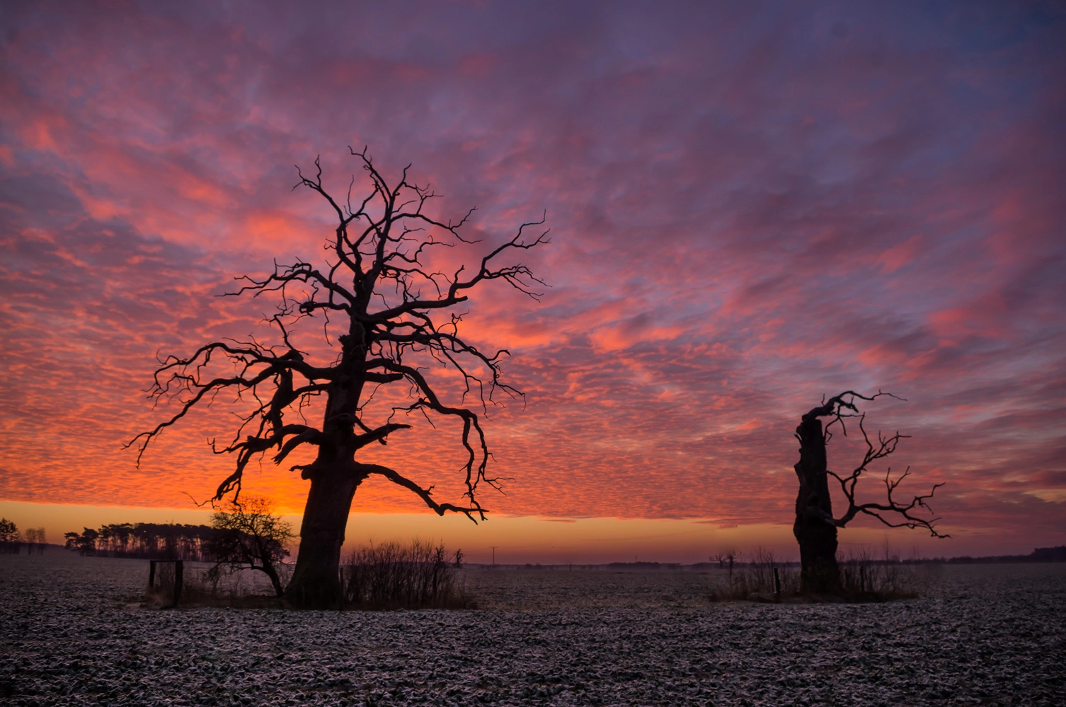 Pentax smc DA 18-55mm F3.5-5.6 AL WR sample photo. Frosty morning photography