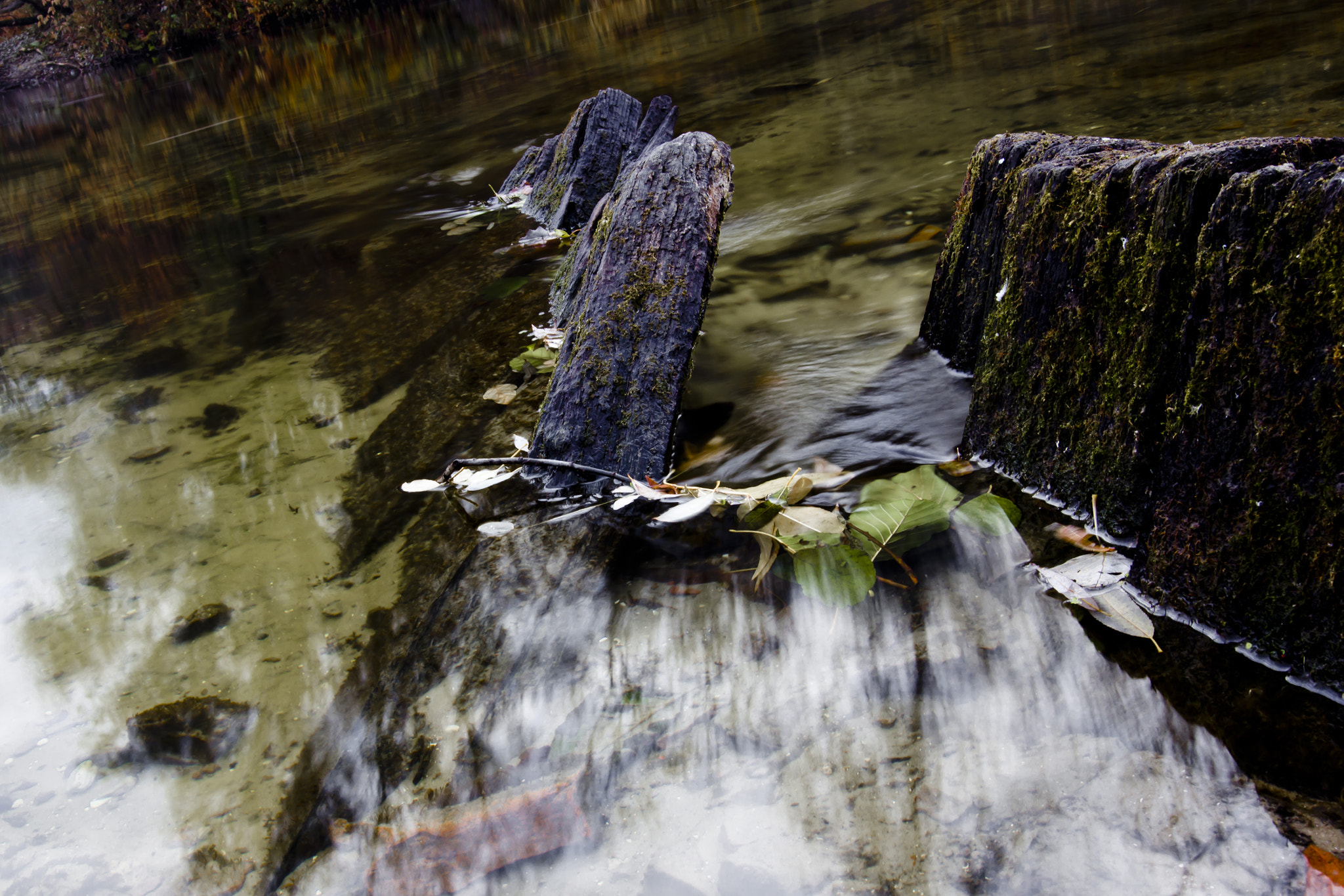 Sigma 18-35mm f/1.8 DC HSM sample photo. Psel 1 photography