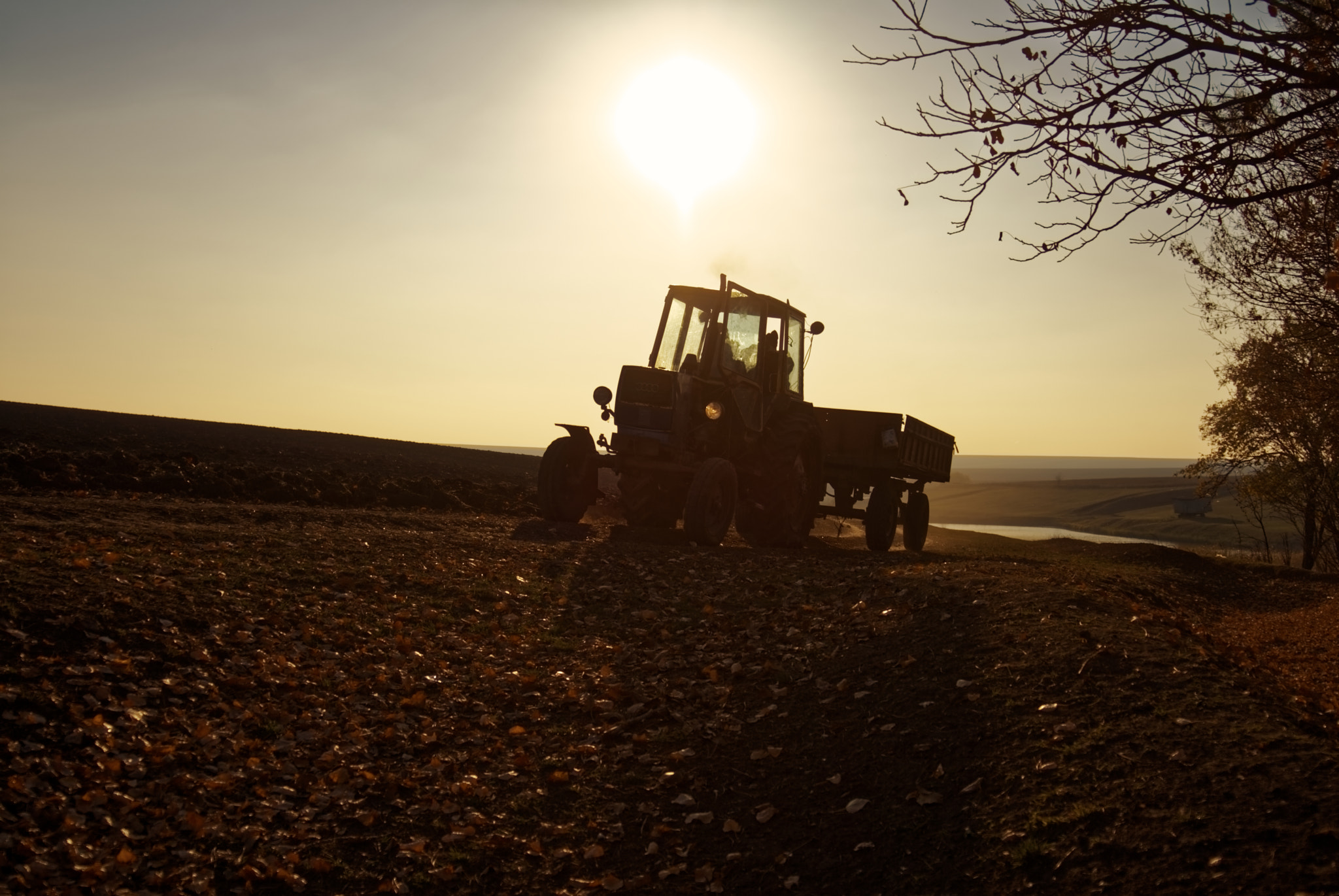 AF Zoom-Nikkor 28-80mm f/3.3-5.6G sample photo. Agriculture romance photography