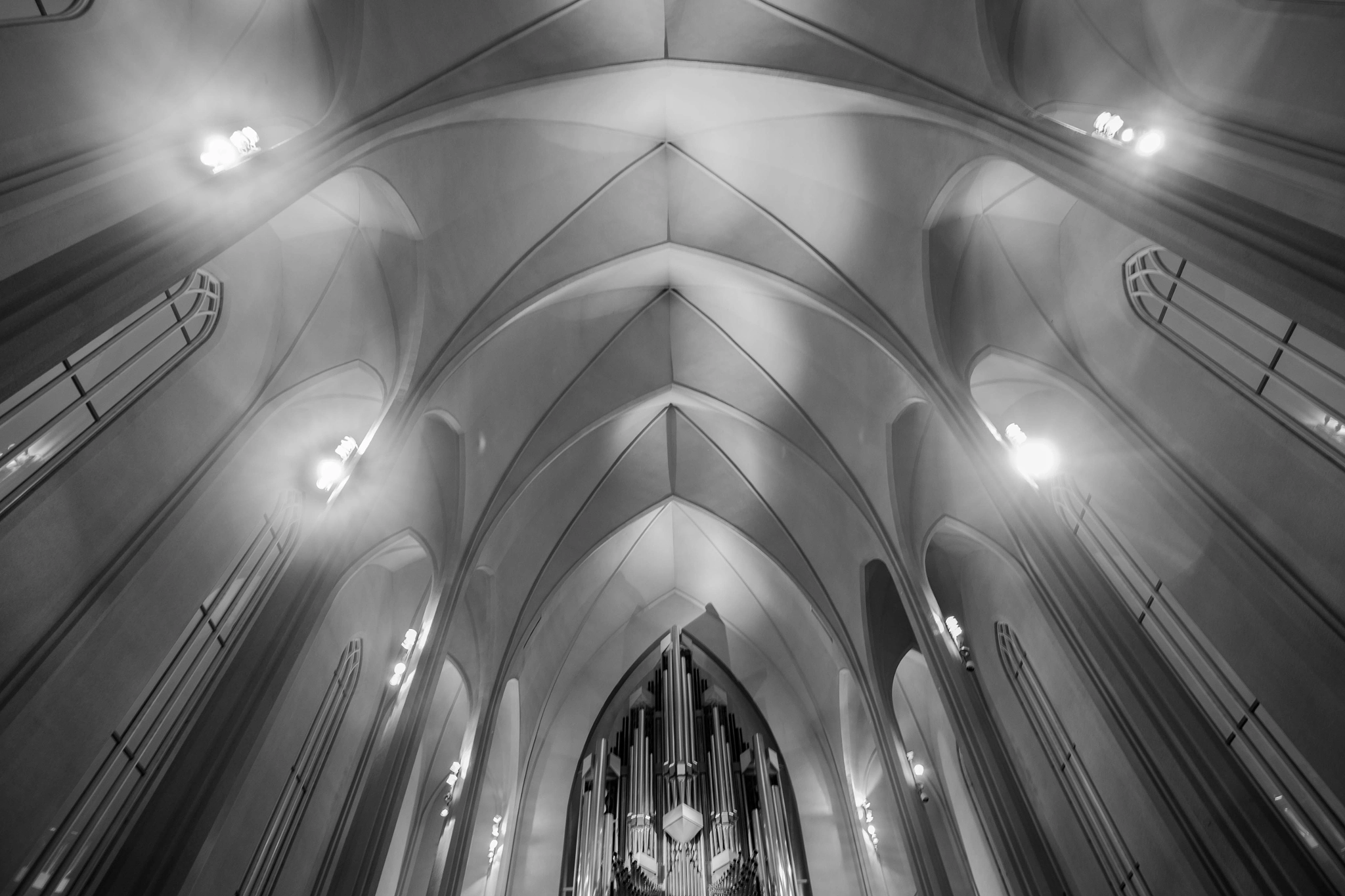 ZEISS Touit 12mm F2.8 sample photo. Soaring above photography