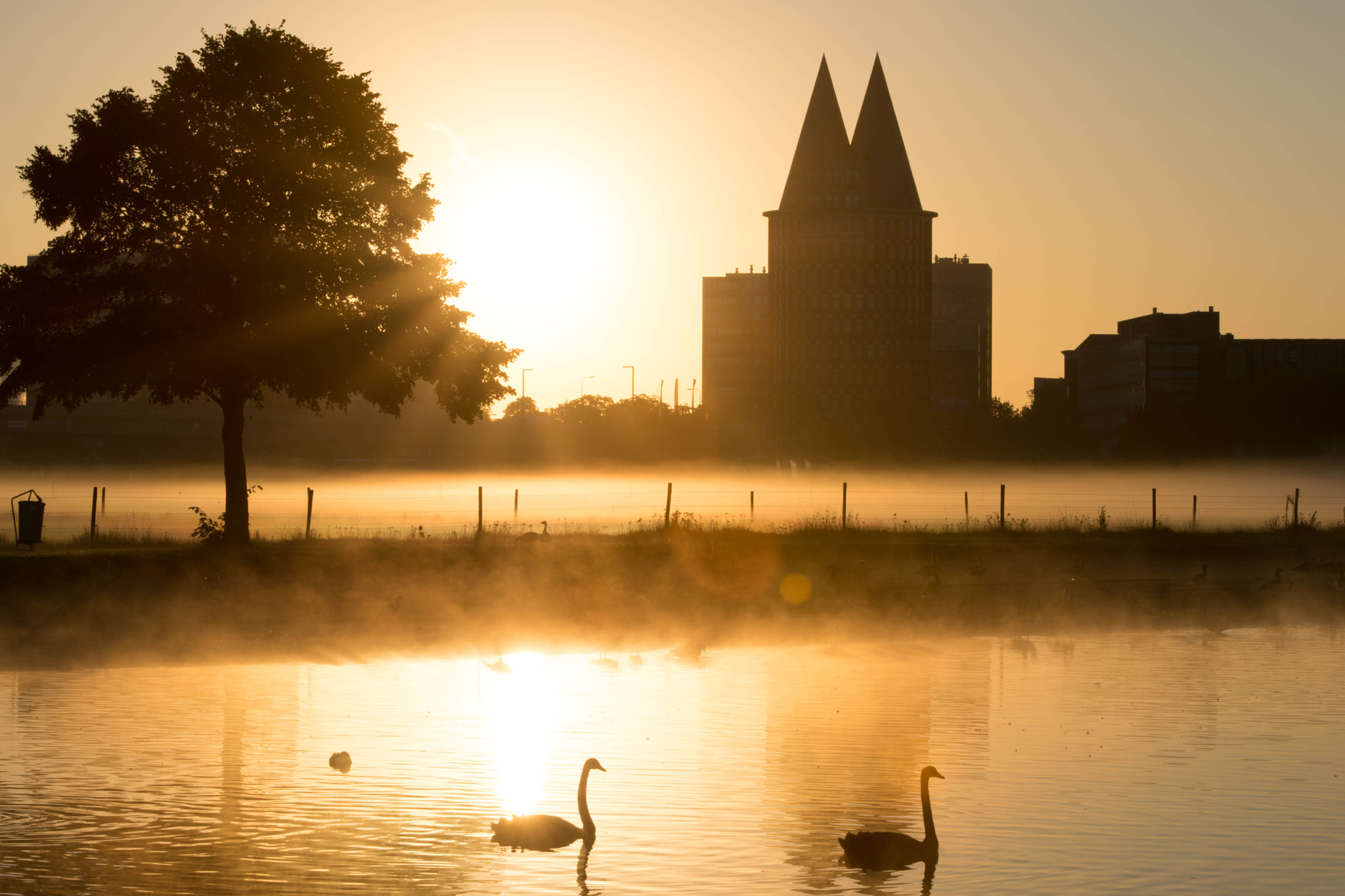 Sigma 70-200mm F2.8 EX DG OS HSM sample photo. Roermond-nl photography