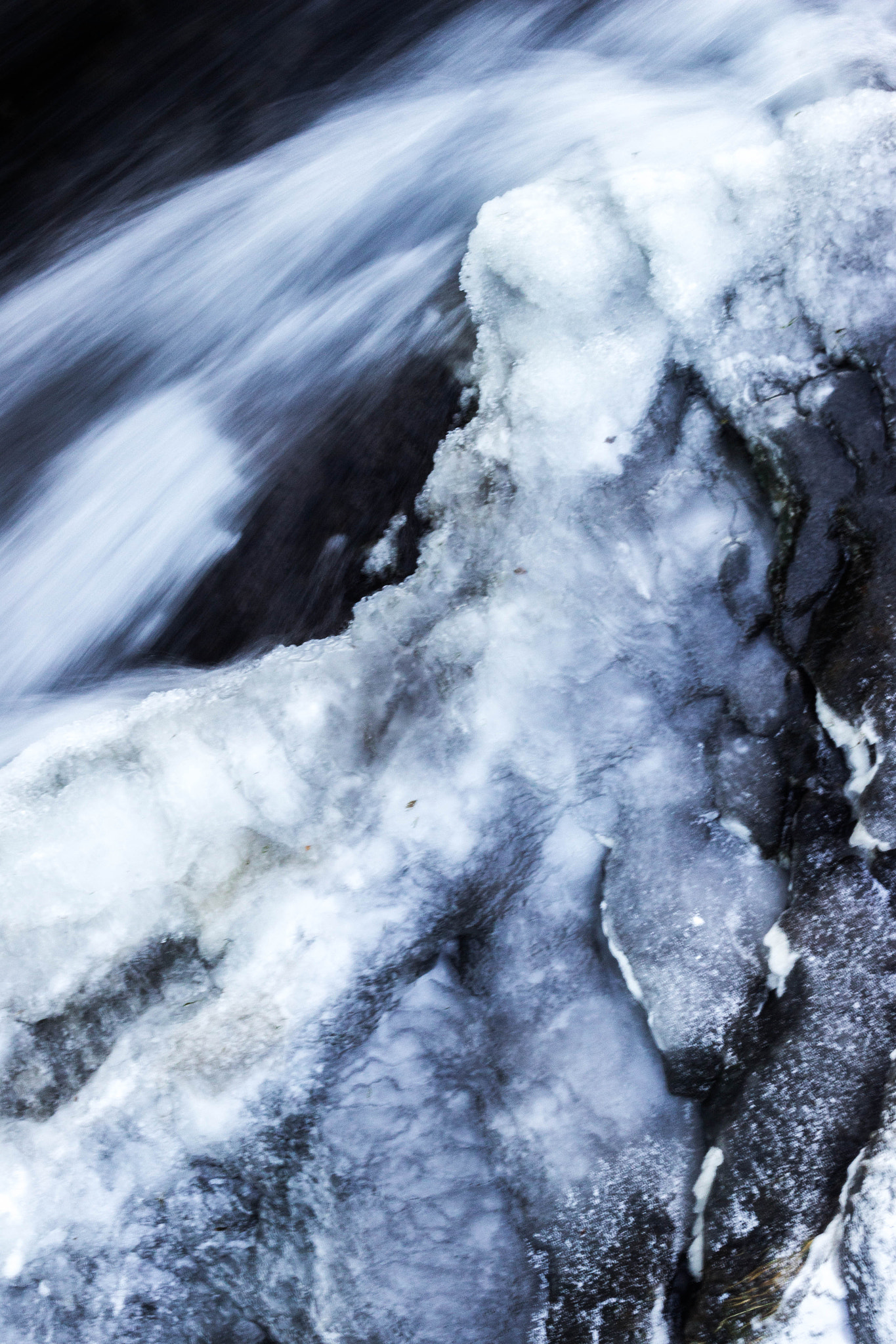 Sigma 18-50mm F2.8-4.5 DC OS HSM sample photo. Frosen photography