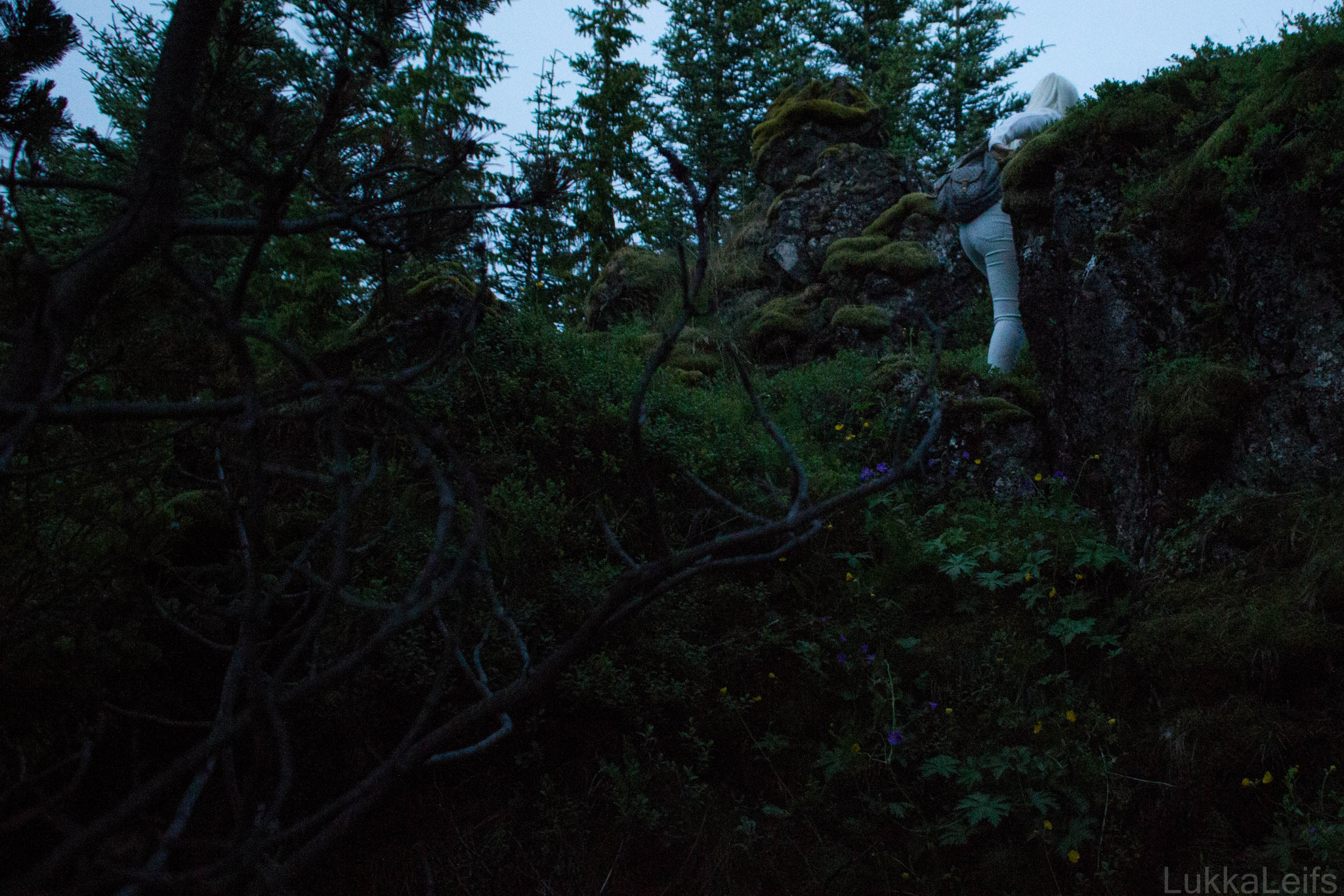 Sigma 18-50mm F2.8-4.5 DC OS HSM sample photo. Elf on a hike photography