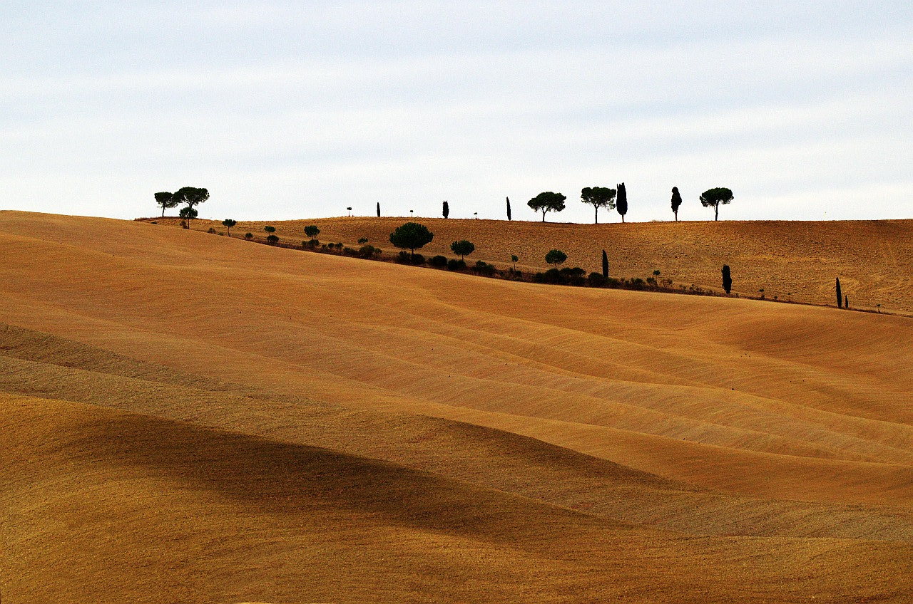 Pentax K-30 + smc PENTAX-FA 100-300mm F4.7-5.8 sample photo. Tuscany photography