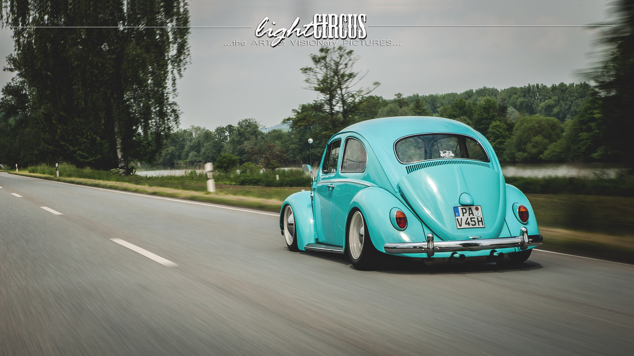 Nikon D5000 + Tamron SP AF 17-50mm F2.8 XR Di II VC LD Aspherical (IF) sample photo. Rolling beetle photography