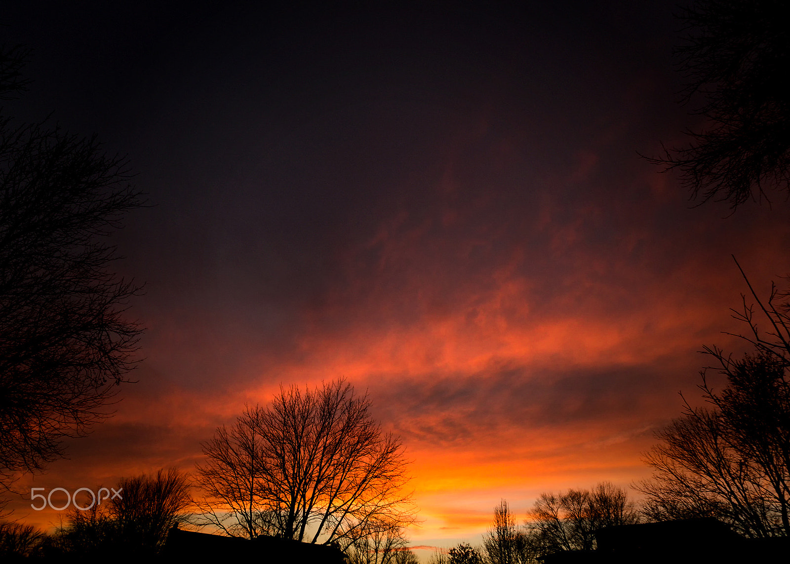 Sigma 10-20mm F3.5 EX DC HSM sample photo. Farewell to a january day photography