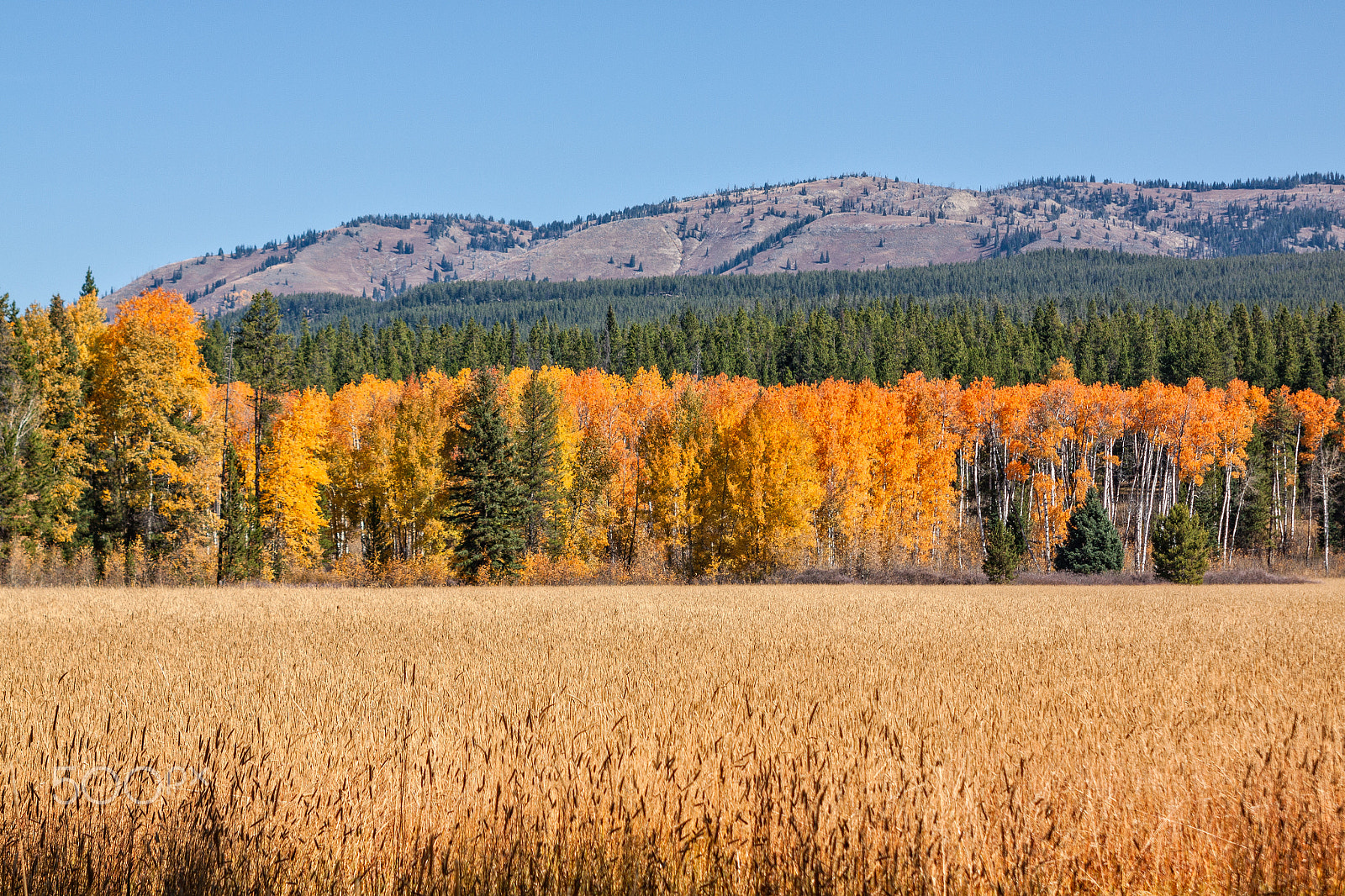 Canon EOS 50D + EF28-70mm f/2.8L USM sample photo. Woyming mountain landscape in fall photography