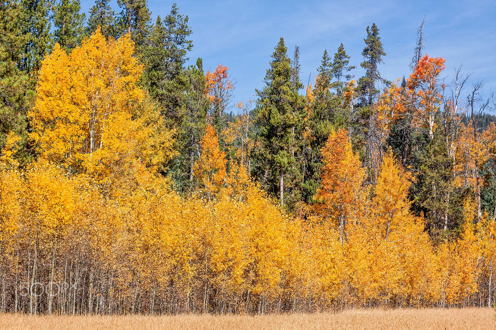 Canon EOS 50D + EF28-70mm f/2.8L USM sample photo. Woyming mountain landscape in fall photography