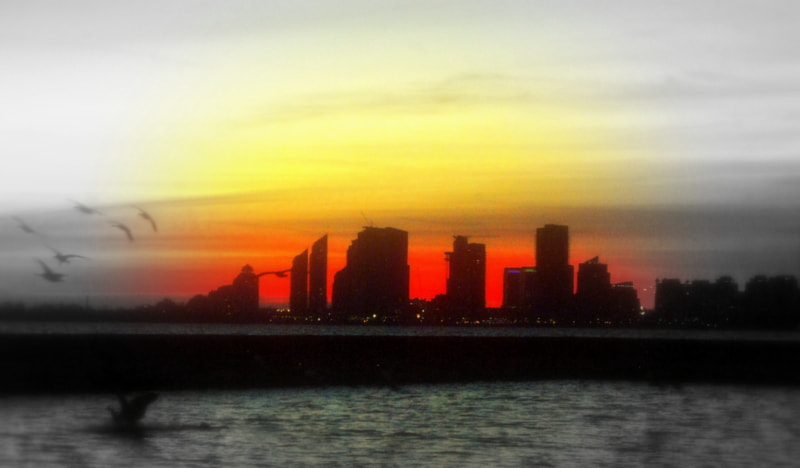 Nikon D60 sample photo. View from parkdale photography
