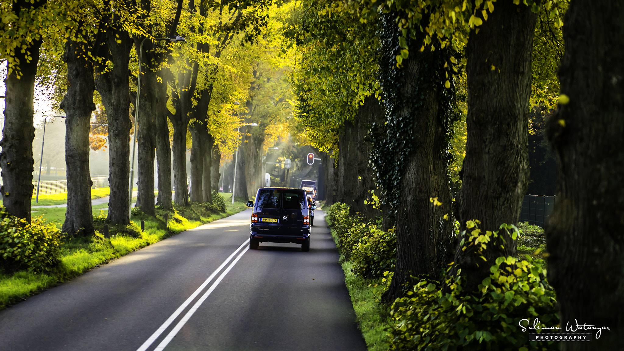 Sony FE PZ 28-135mm F4 G OSS sample photo. Yellow road photography