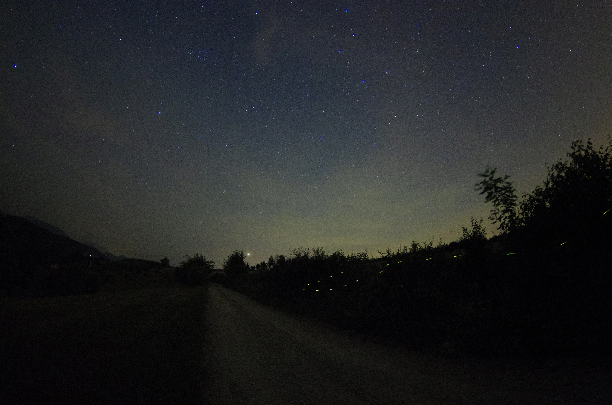 Pentax K-5 sample photo. Road in the night with firefly crossing photography