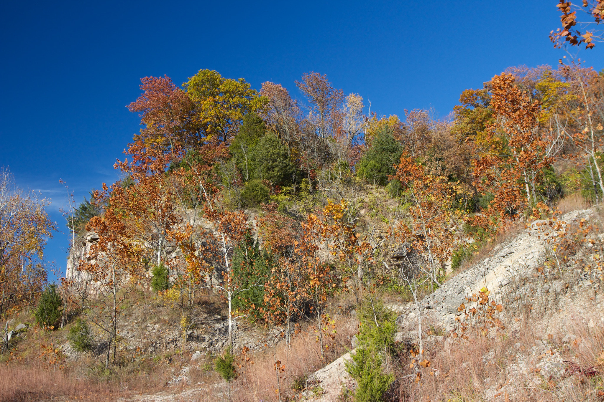 Canon EOS 650D (EOS Rebel T4i / EOS Kiss X6i) + Canon EF 17-40mm F4L USM sample photo. Blue autumn sky photography