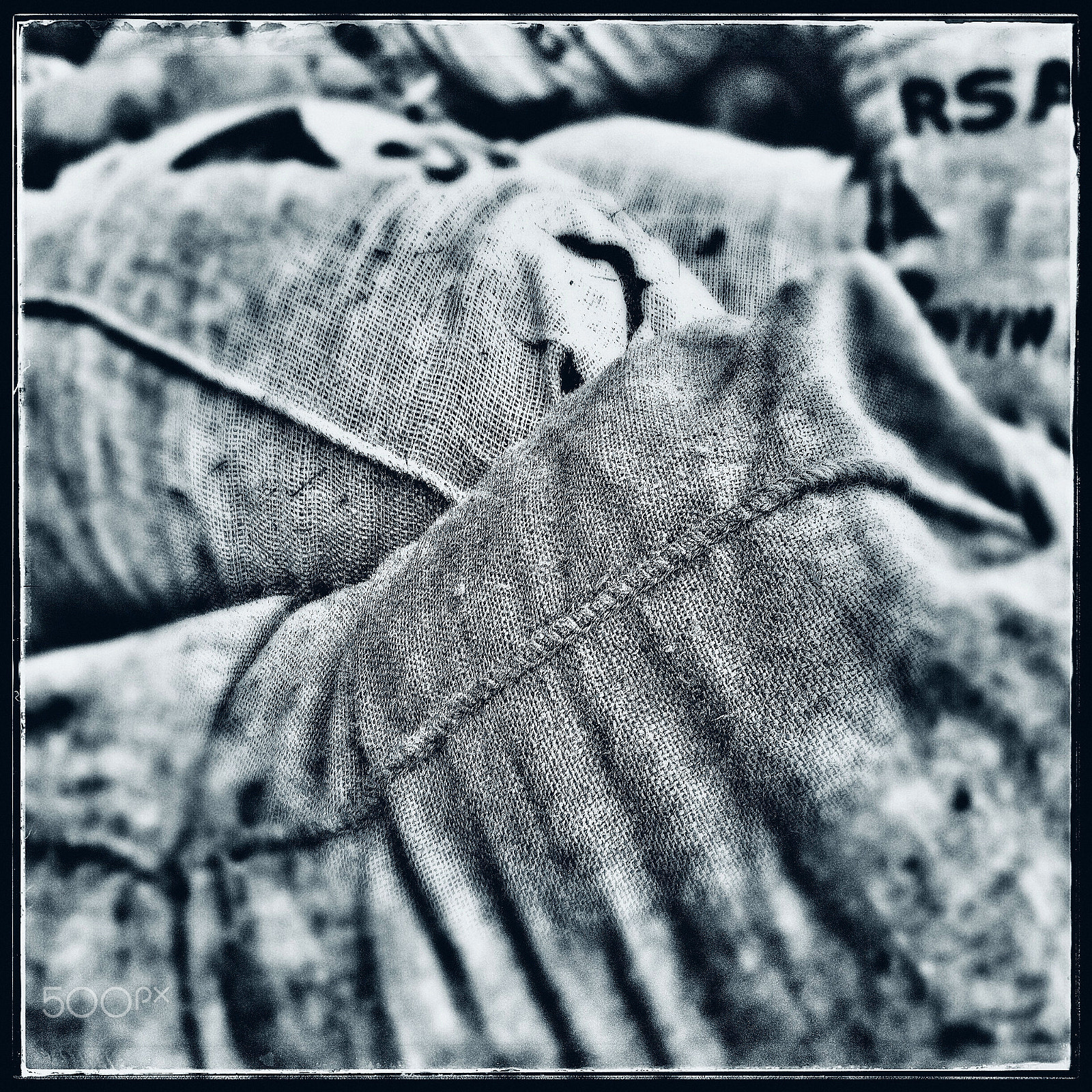 Hipstamatic 303 sample photo. Rsa photography