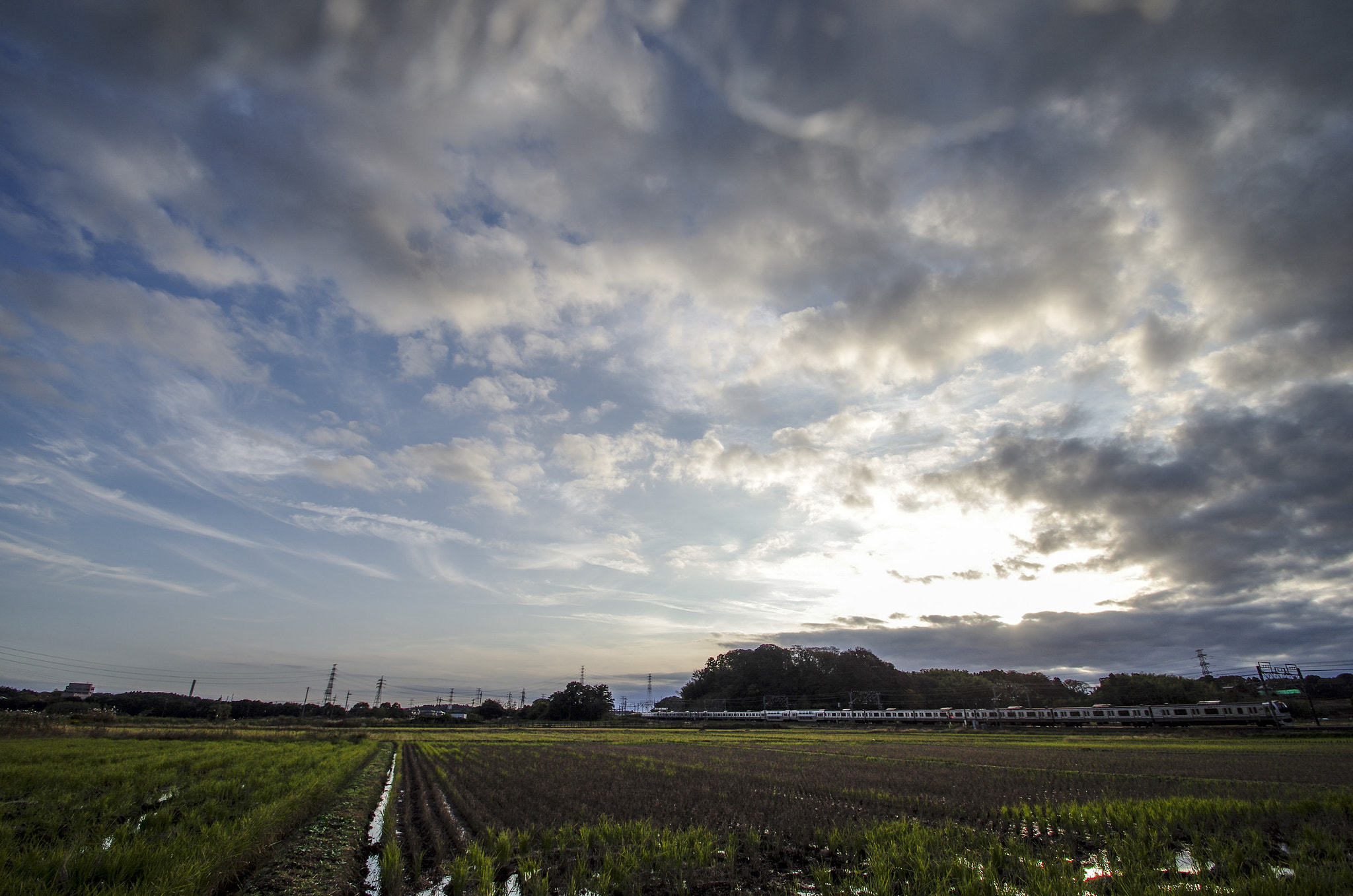 Pentax K-5 IIs sample photo. Field photography