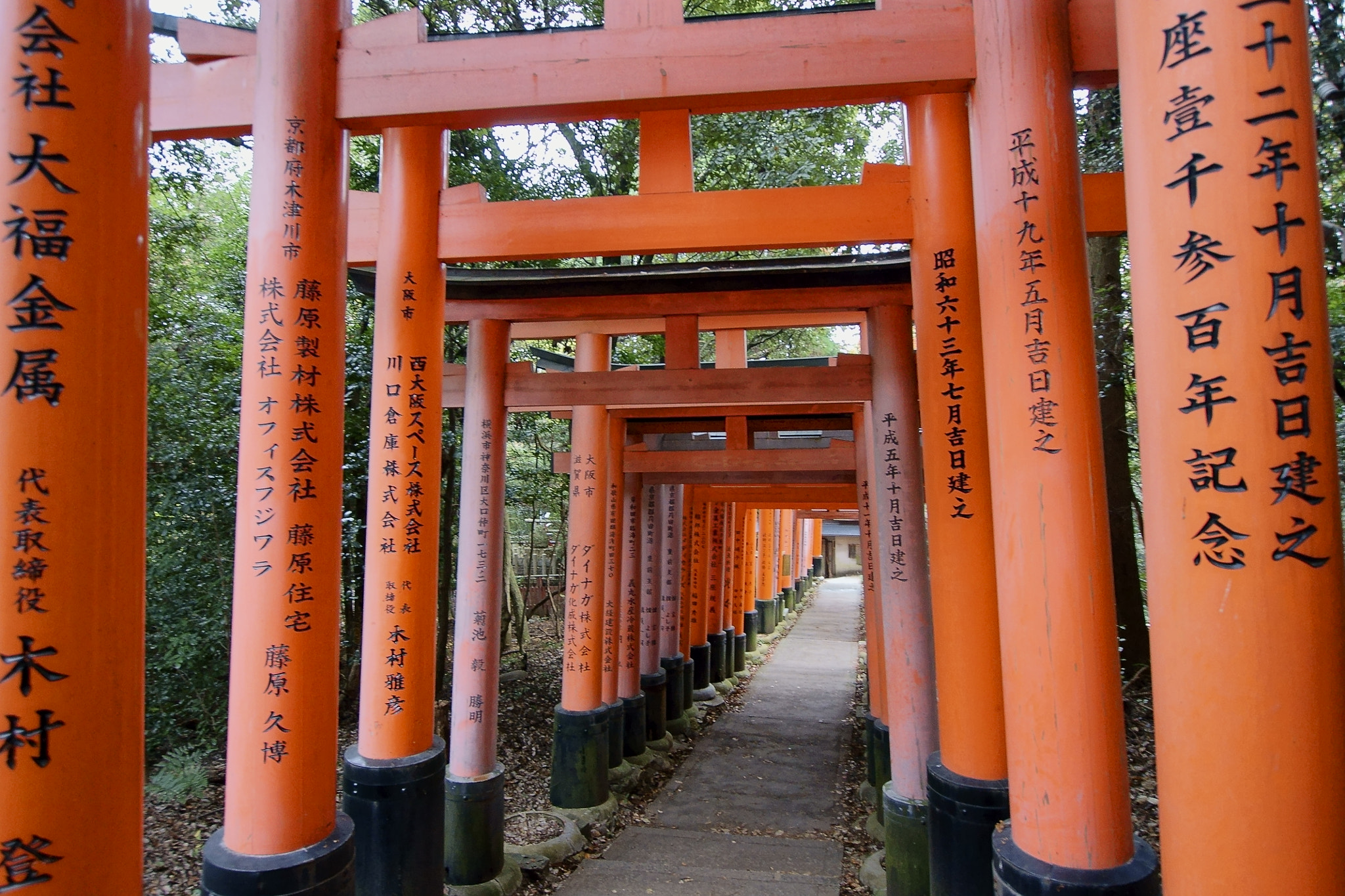 Sony Alpha DSLR-A700 + Sigma 10-20mm F3.5 EX DC HSM sample photo. Orange torii gates photography