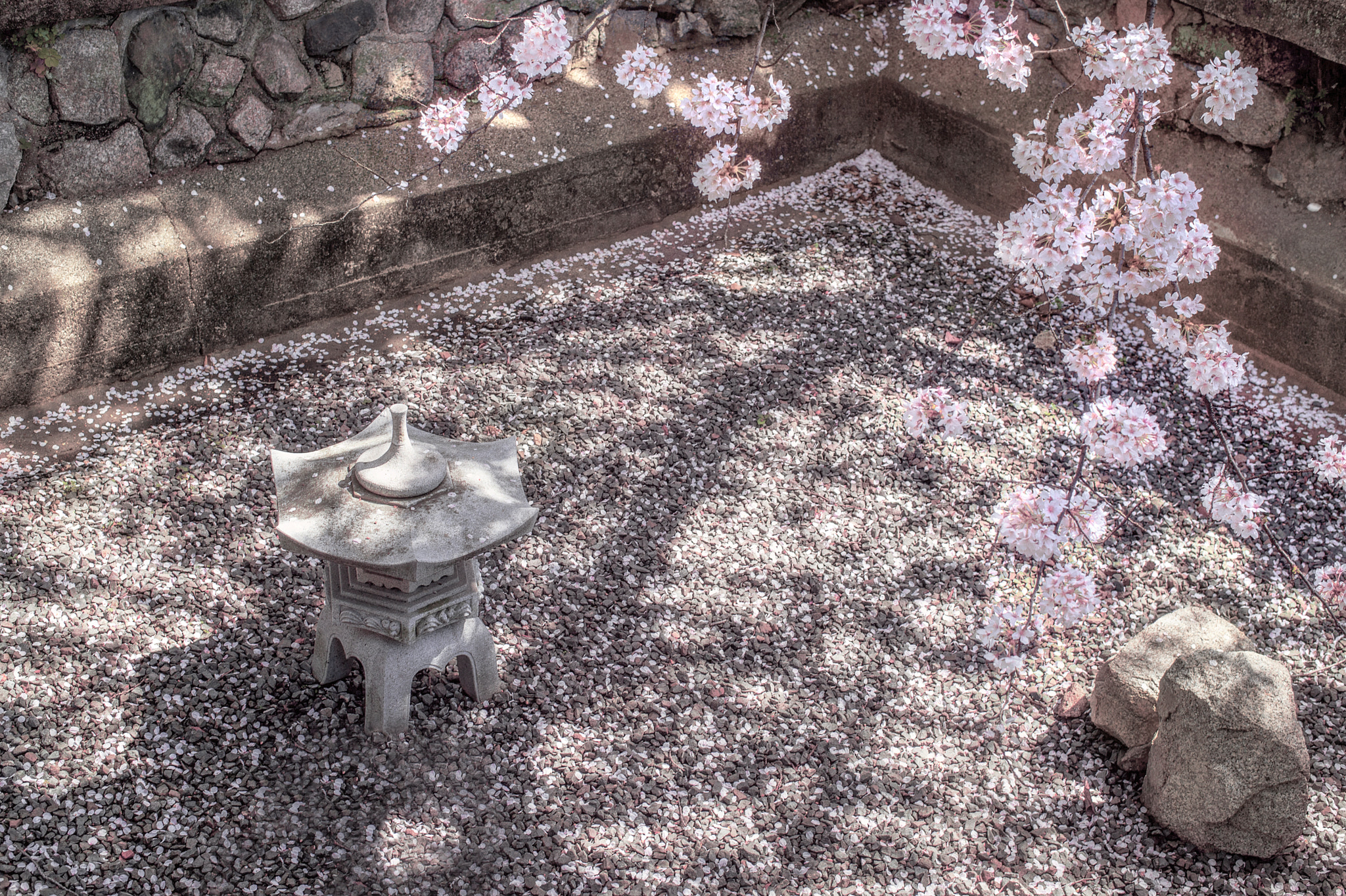 Nikon D4S + Nikon AF-S Nikkor 50mm F1.8G sample photo. 隨心而觀 photography