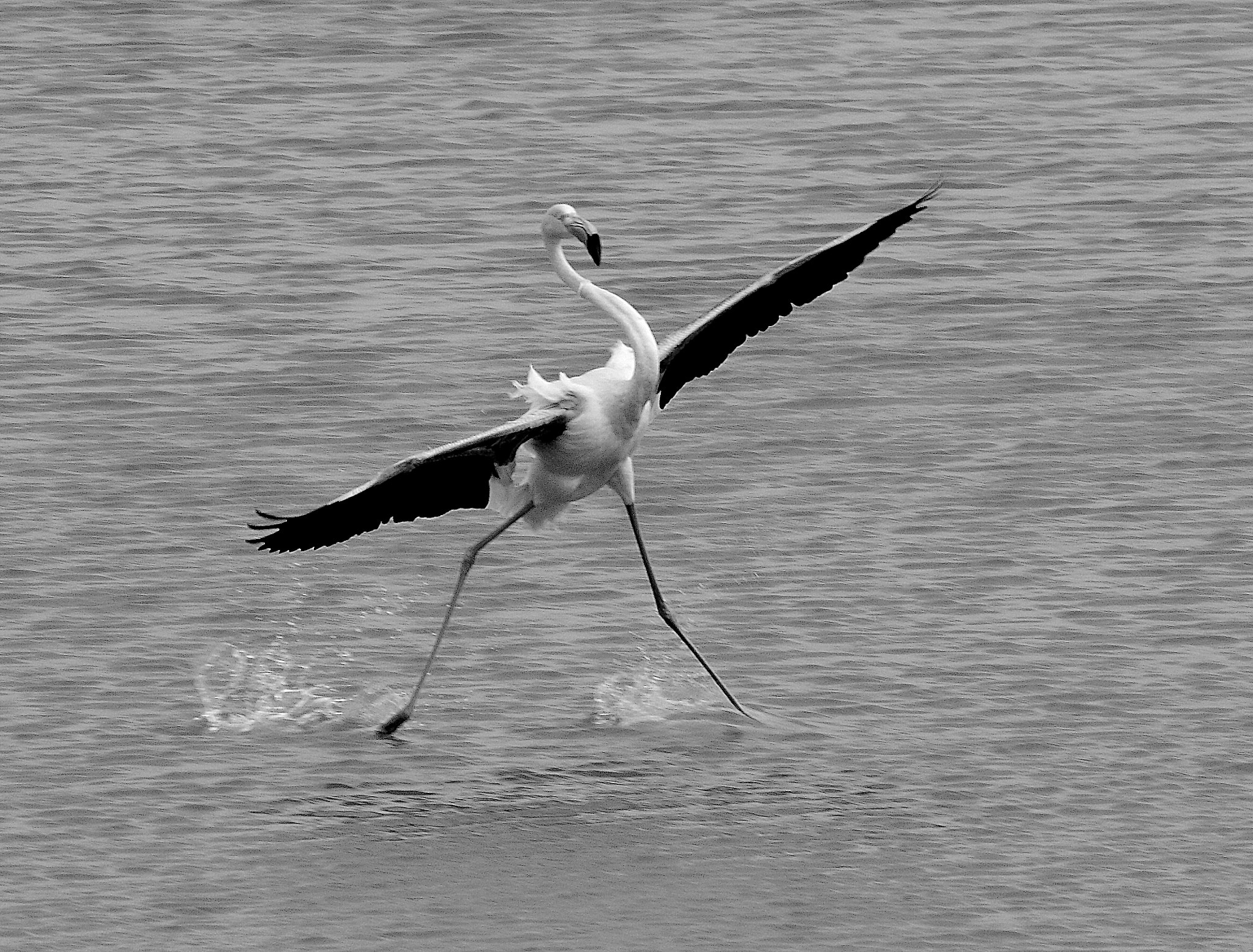 Sony Alpha DSLR-A380 + Sigma 18-200mm F3.5-6.3 DC sample photo. Pink floyd way landing photography