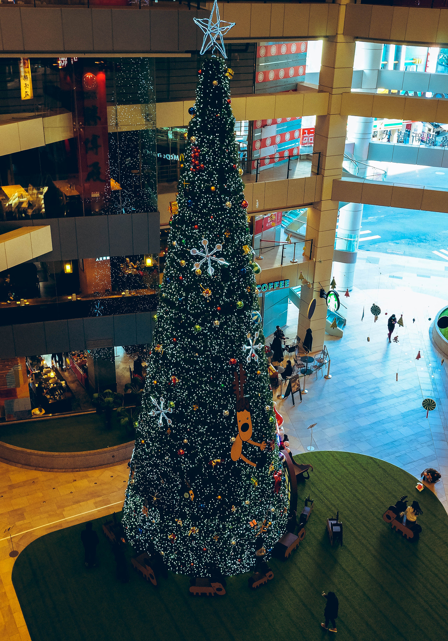 Sony Alpha NEX-6 + Sony Sonnar T* E 24mm F1.8 ZA sample photo. Xmas tree photography