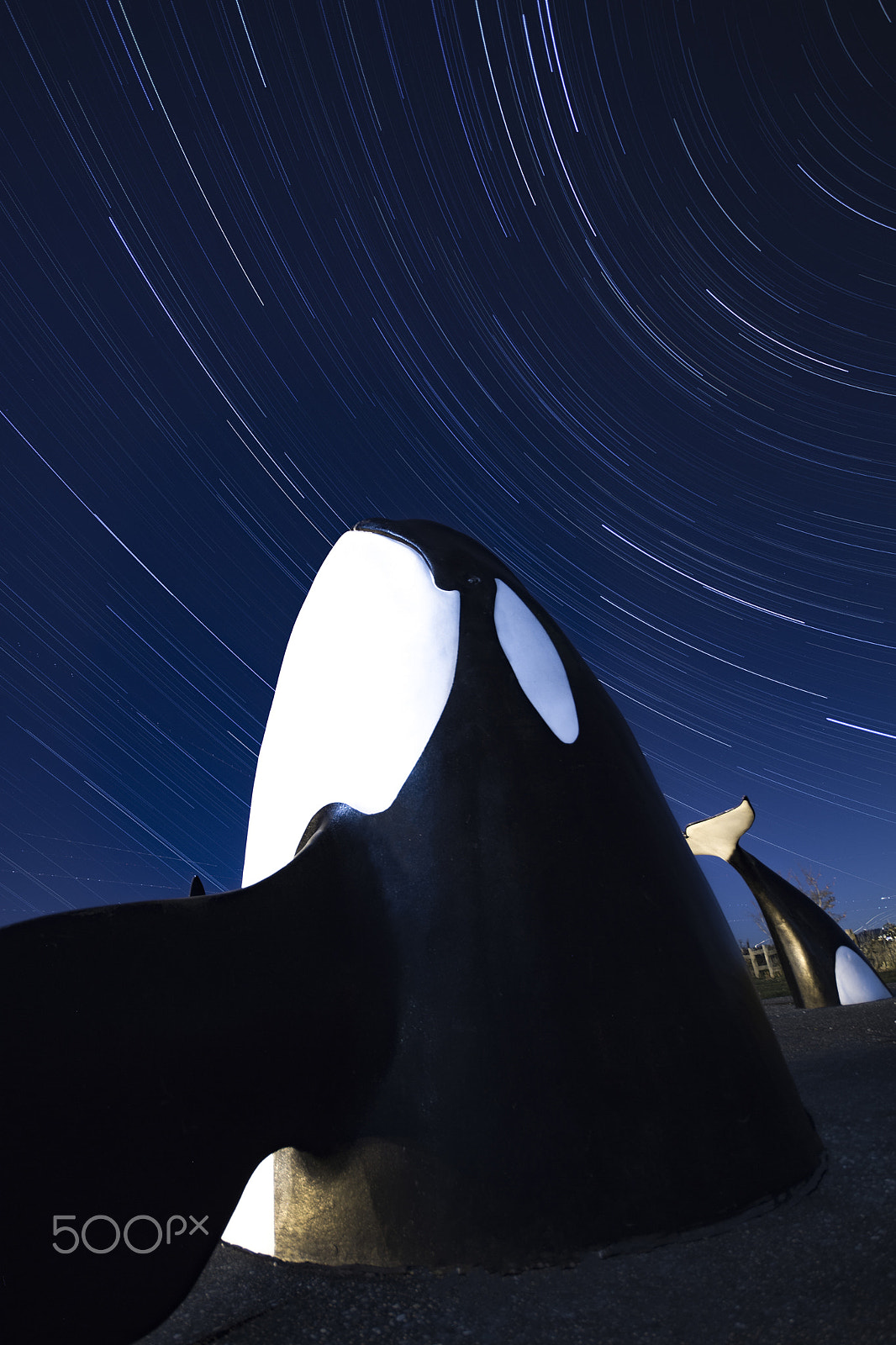 Sigma 10-20mm F4-5.6 EX DC HSM sample photo. Orcastrails photography