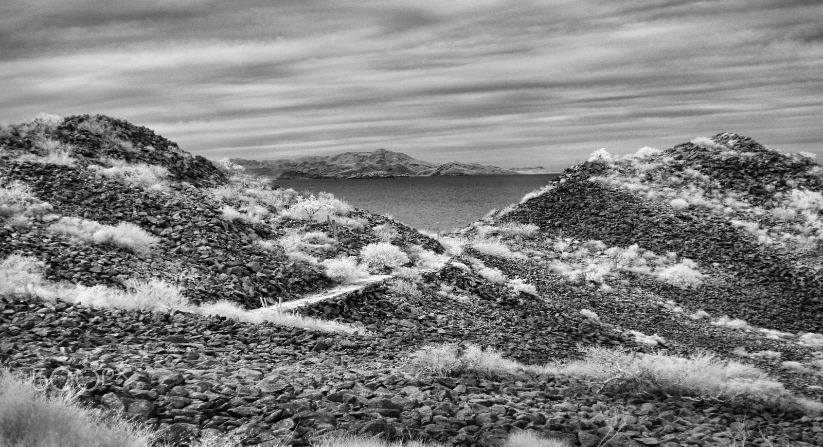 Sony SLT-A55 (SLT-A55V) + Sony DT 35mm F1.8 SAM sample photo. First dirt road across baja photography