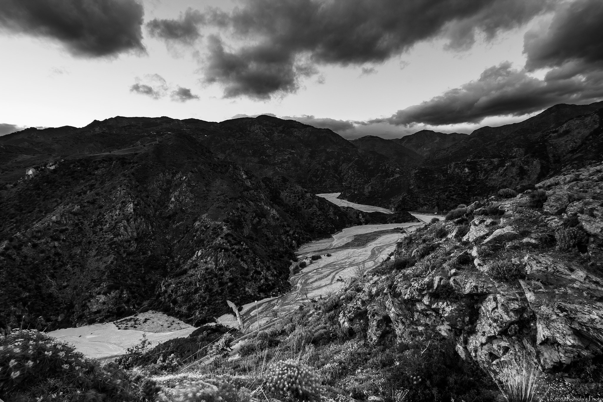 Canon EOS M sample photo. The grey snake photography