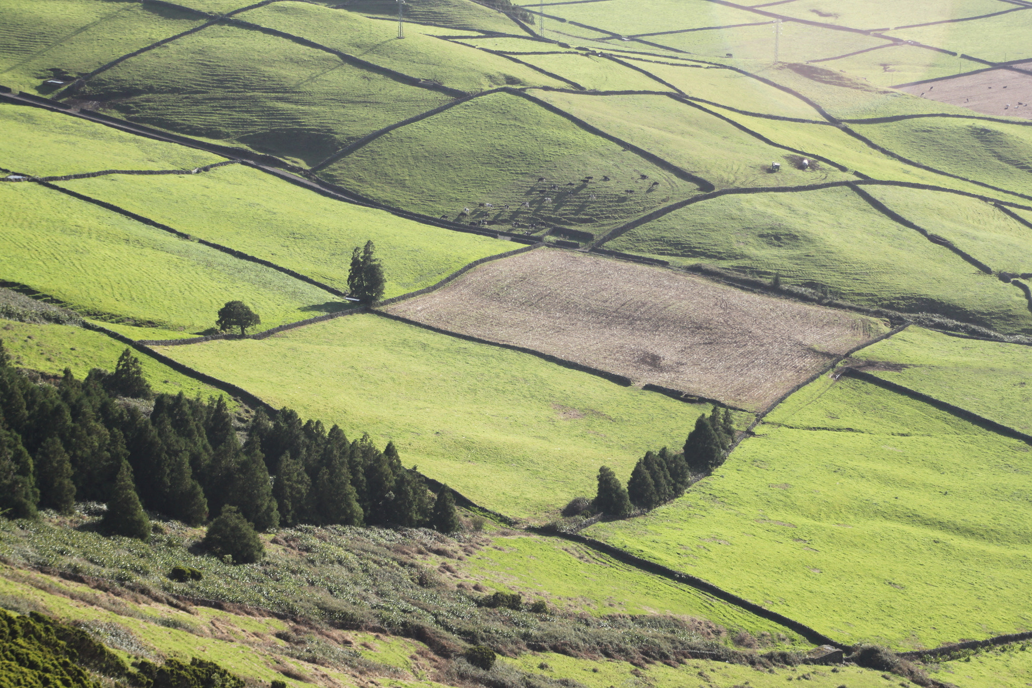 Tamron AF 28-200mm F3.8-5.6 XR Di Aspherical (IF) Macro sample photo. Fields of the azores ii. photography