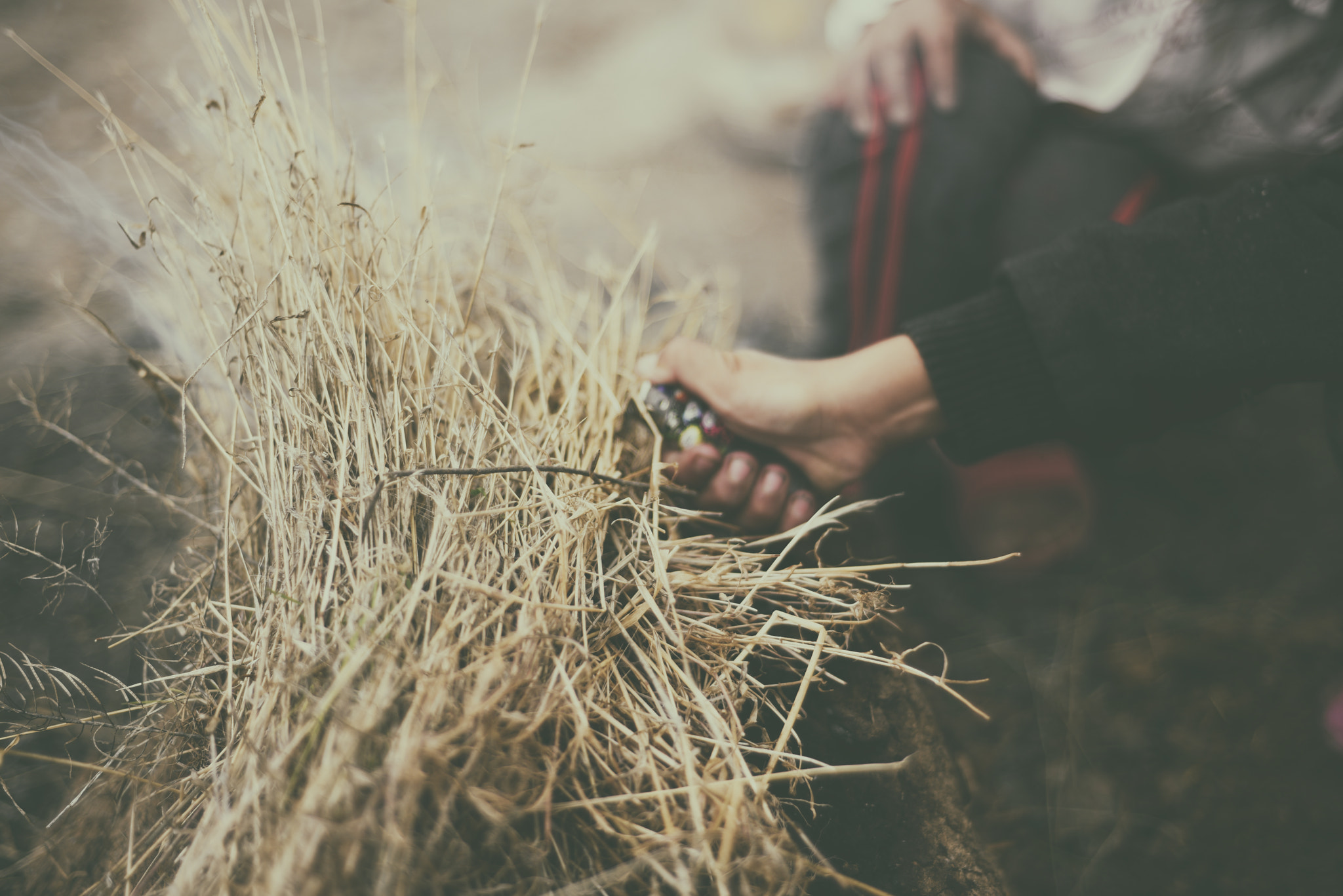 Nikon D810 + AF Nikkor 50mm f/1.8 sample photo. Forage photography