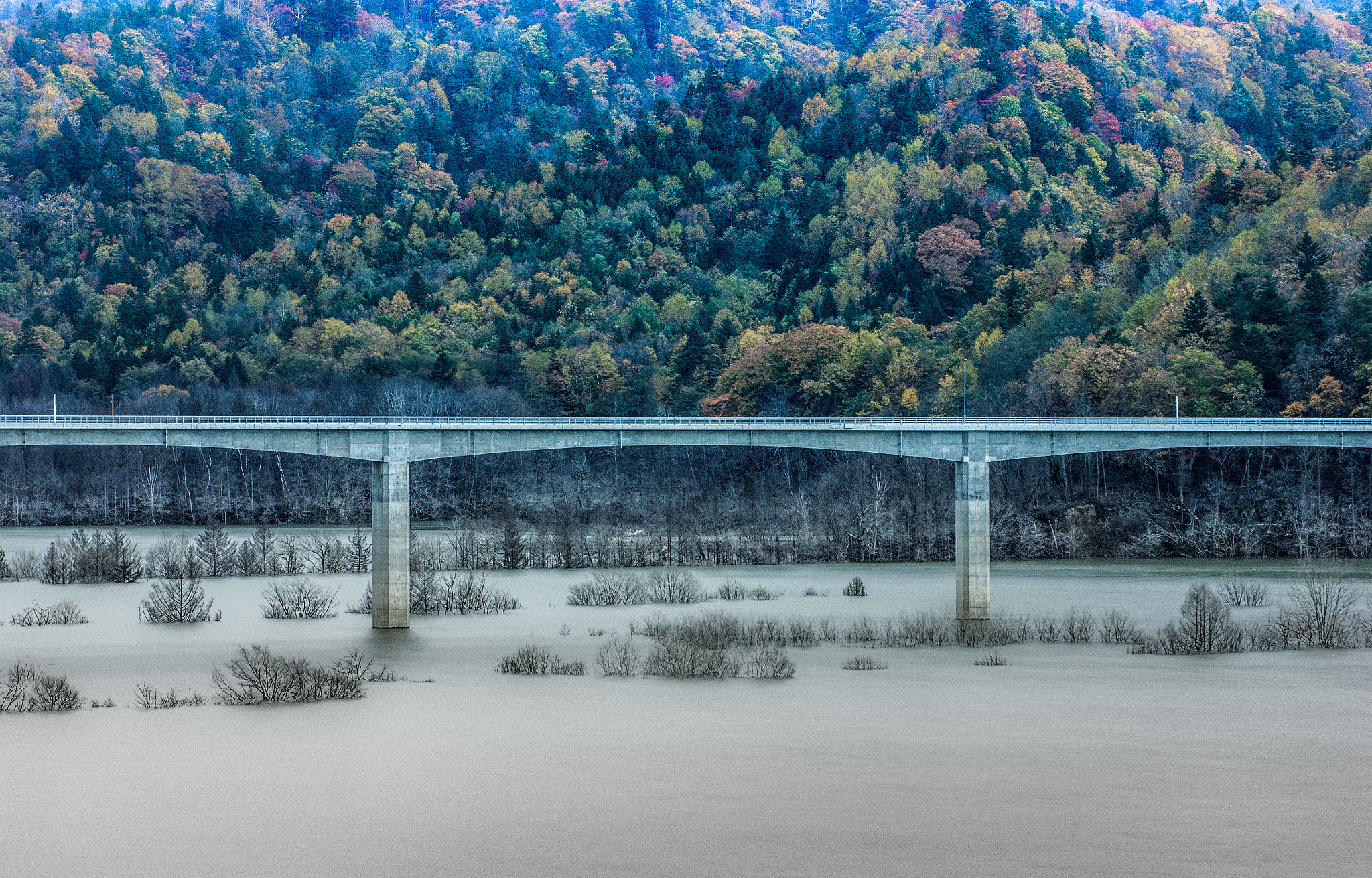 Sony 75-300mm F4.5-5.6 sample photo. A season changes photography