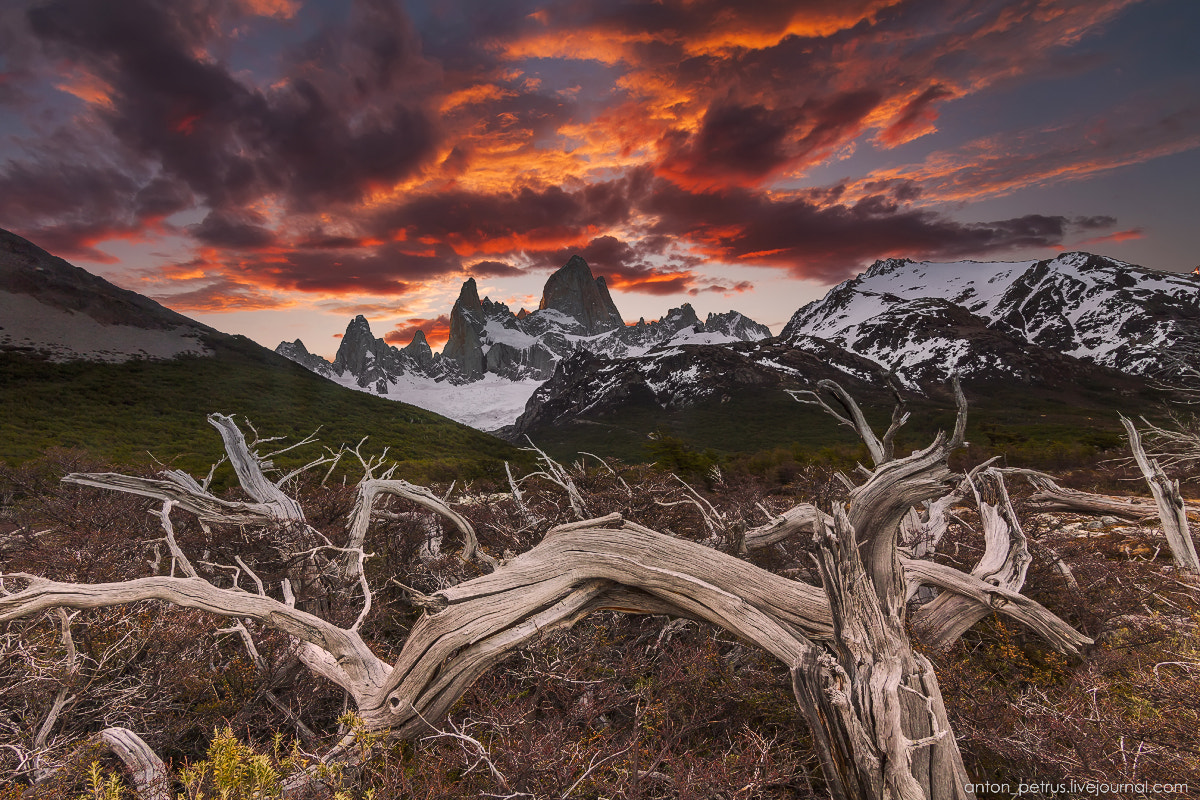 Canon EOS 5D Mark II + Canon EF-S 17-85mm F4-5.6 IS USM sample photo. Crown of patagonia photography