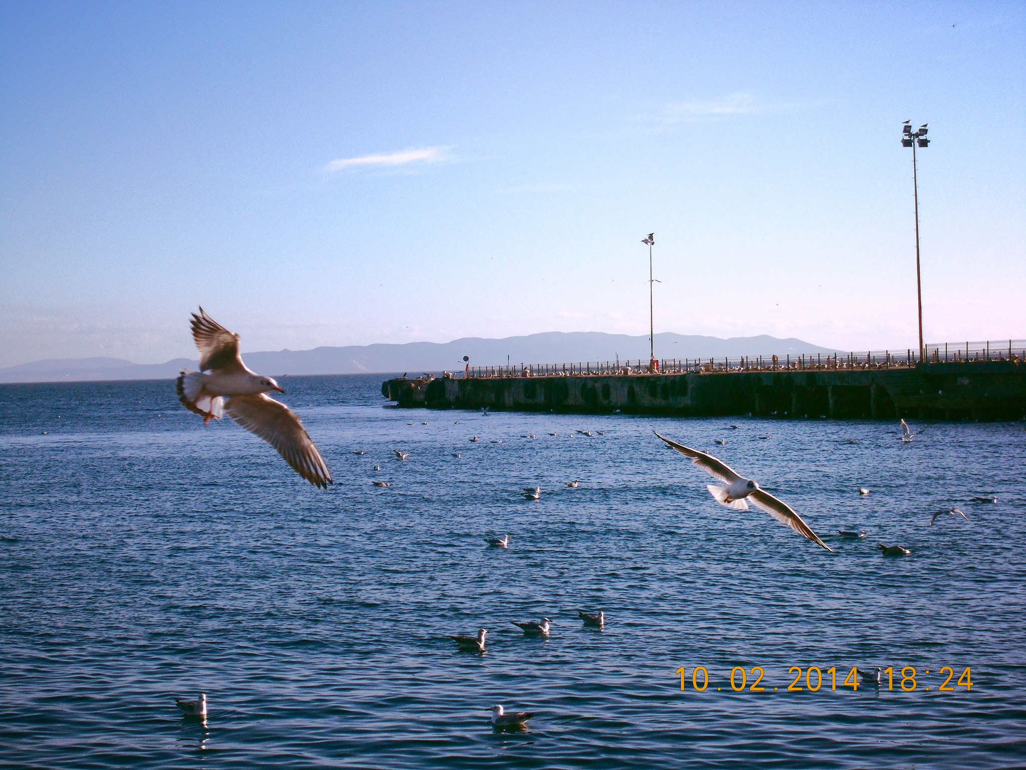 Nikon COOLPIX L27 sample photo. 14979748271.jpg photography